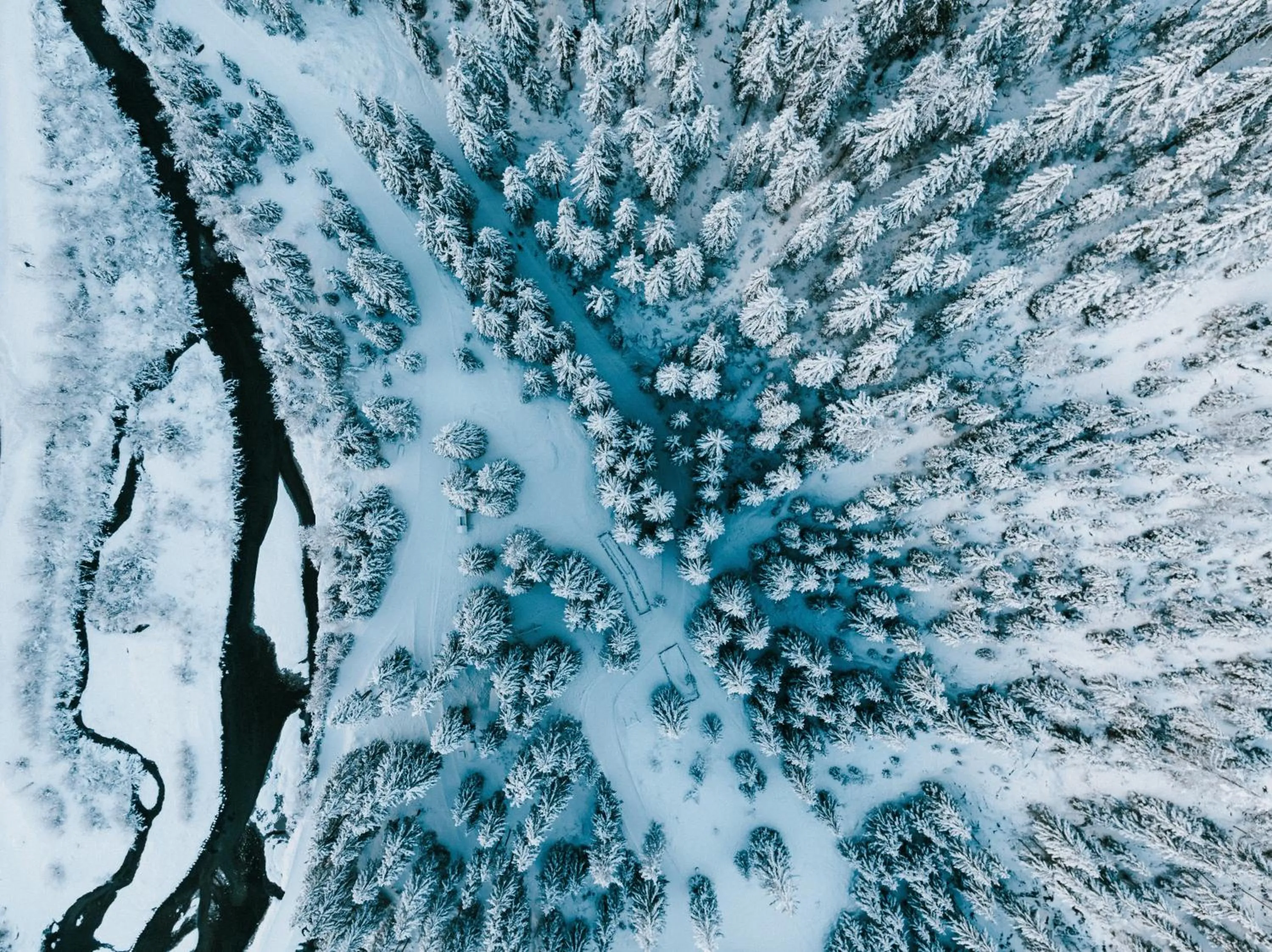 Natural landscape in Almfamilyhotel Scherer