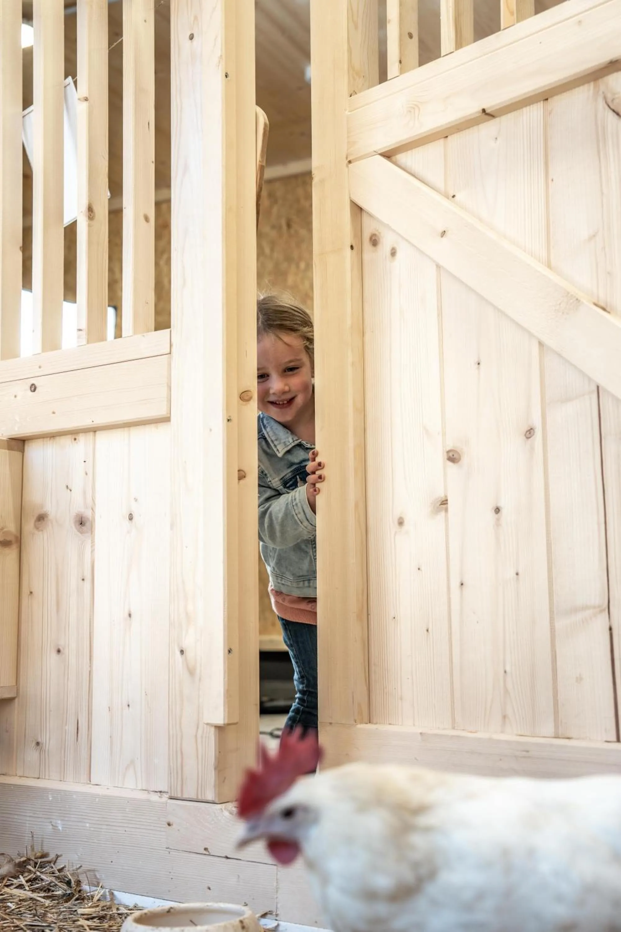 Animals in Almfamilyhotel Scherer