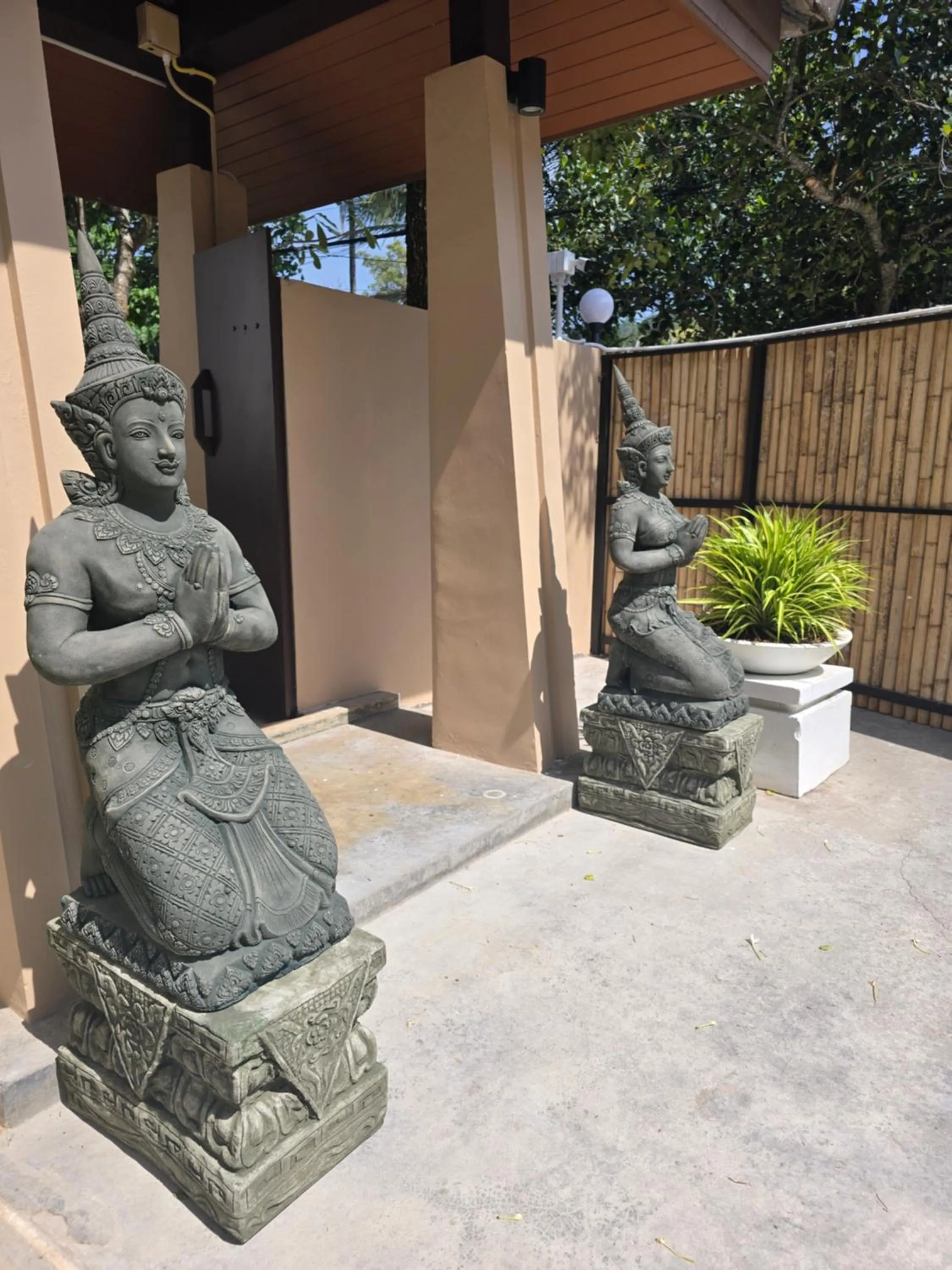 Garden in Blue Palm Residence Kata