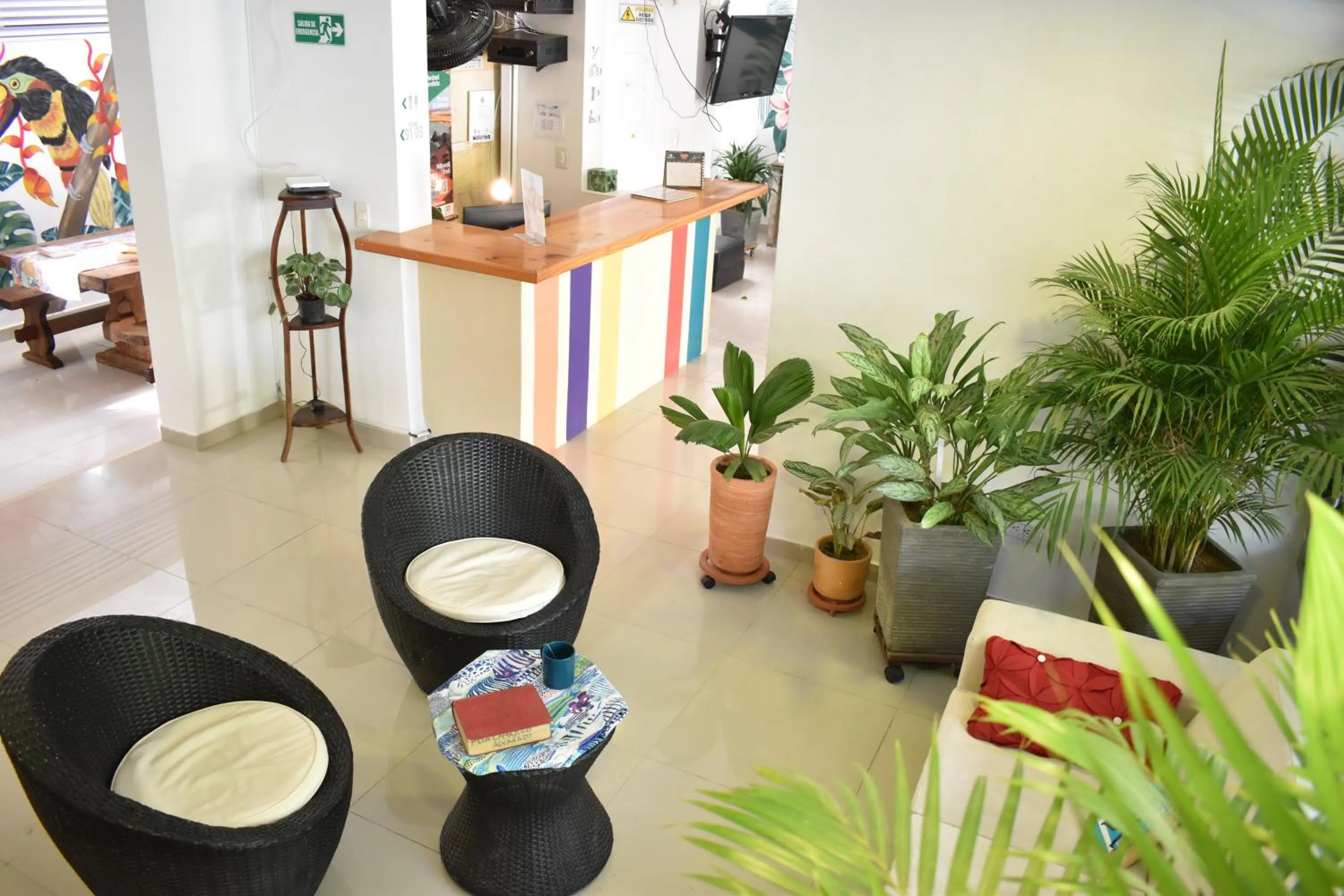 Living room in Color House Santa Marta
