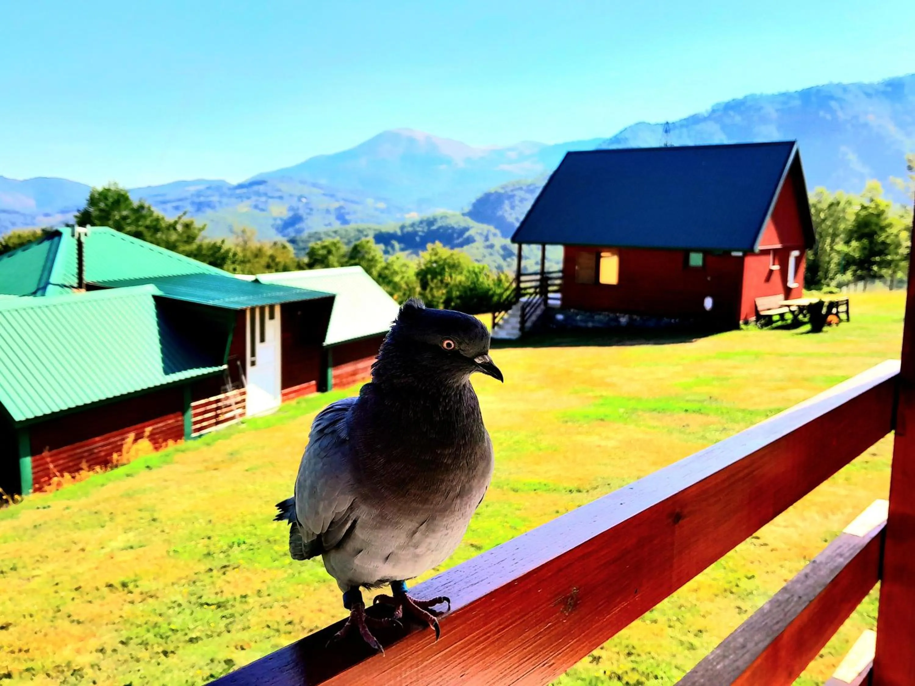 Day in ECO ViLLAGE CORIC