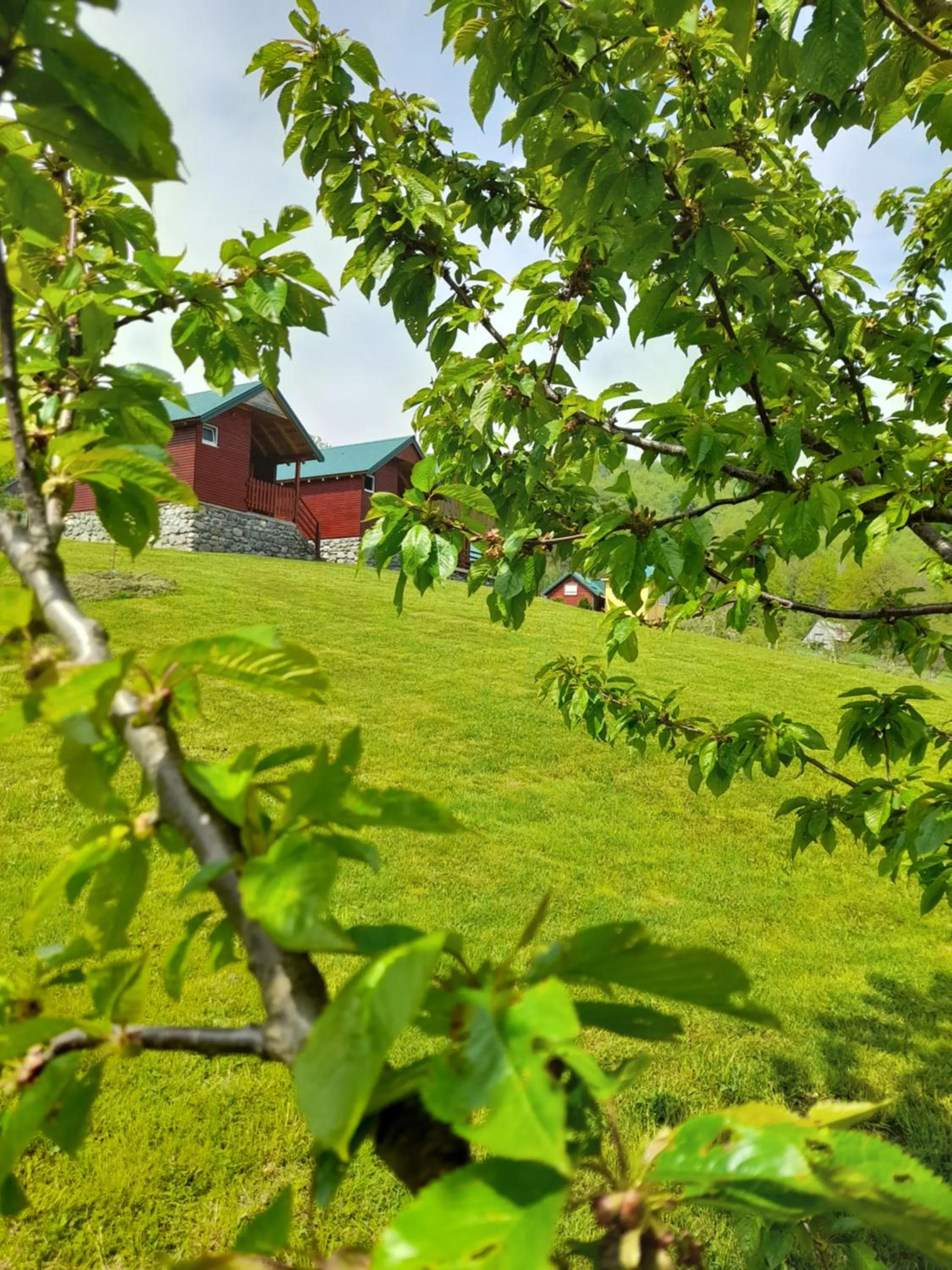 Spring in ECO ViLLAGE CORIC