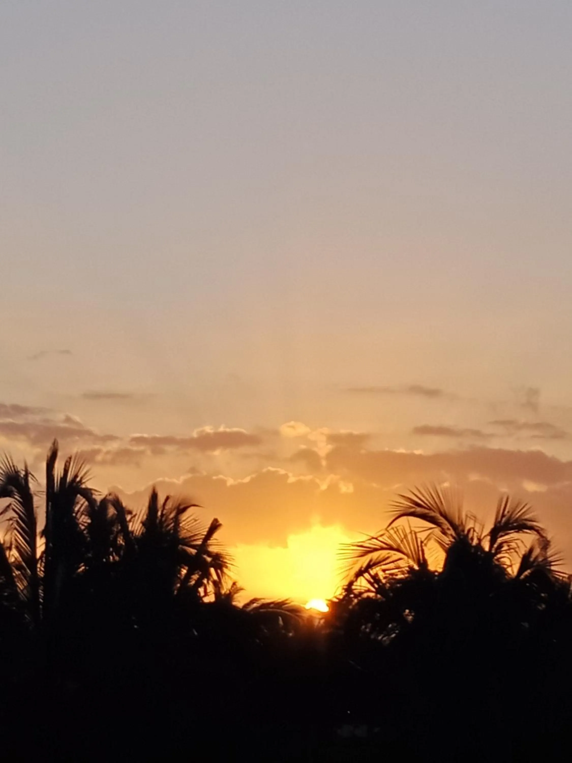 View (from property/room) in Junjungan Suite