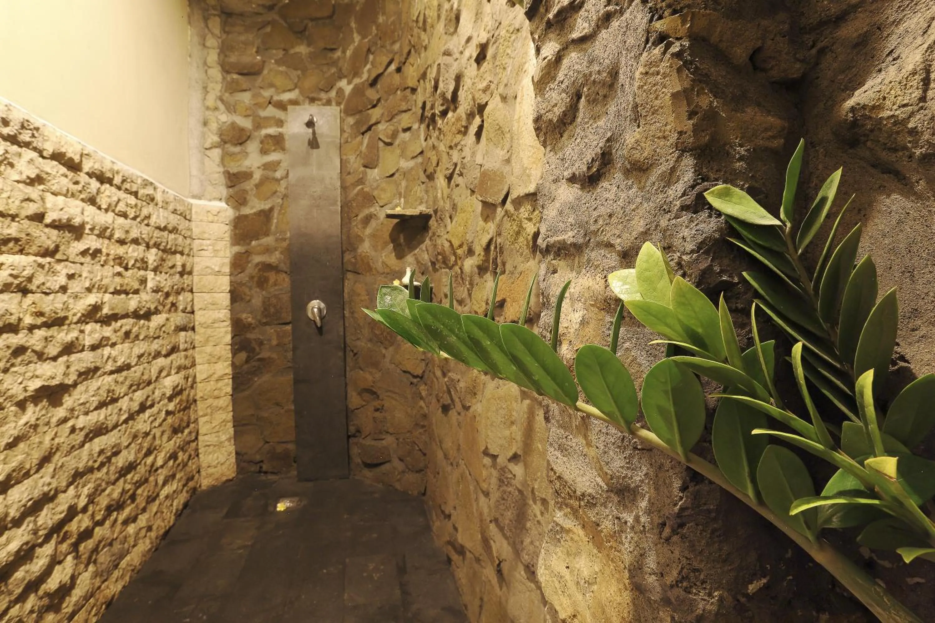 Shower in Junjungan Suite