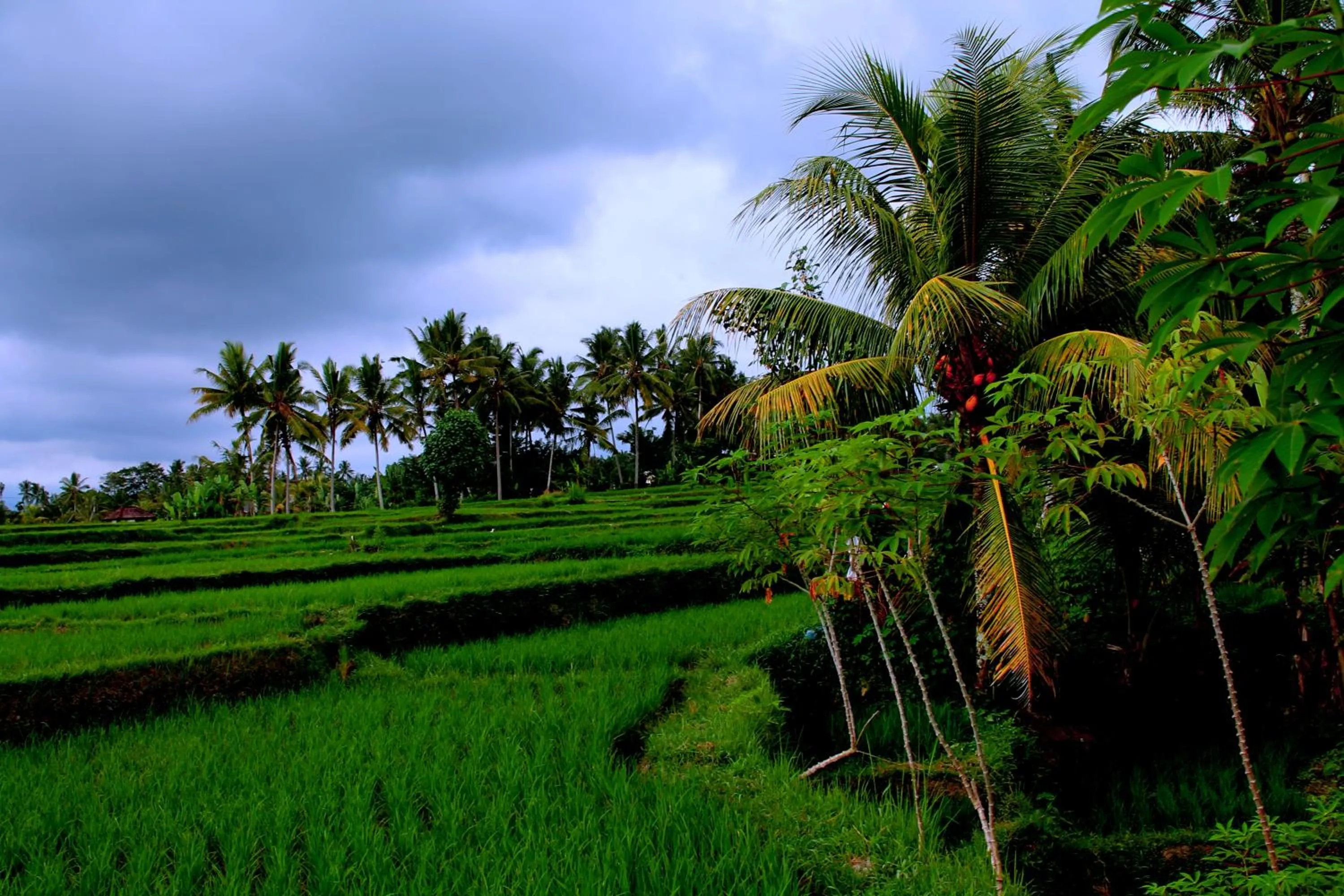 Landmark view in Junjungan Suite