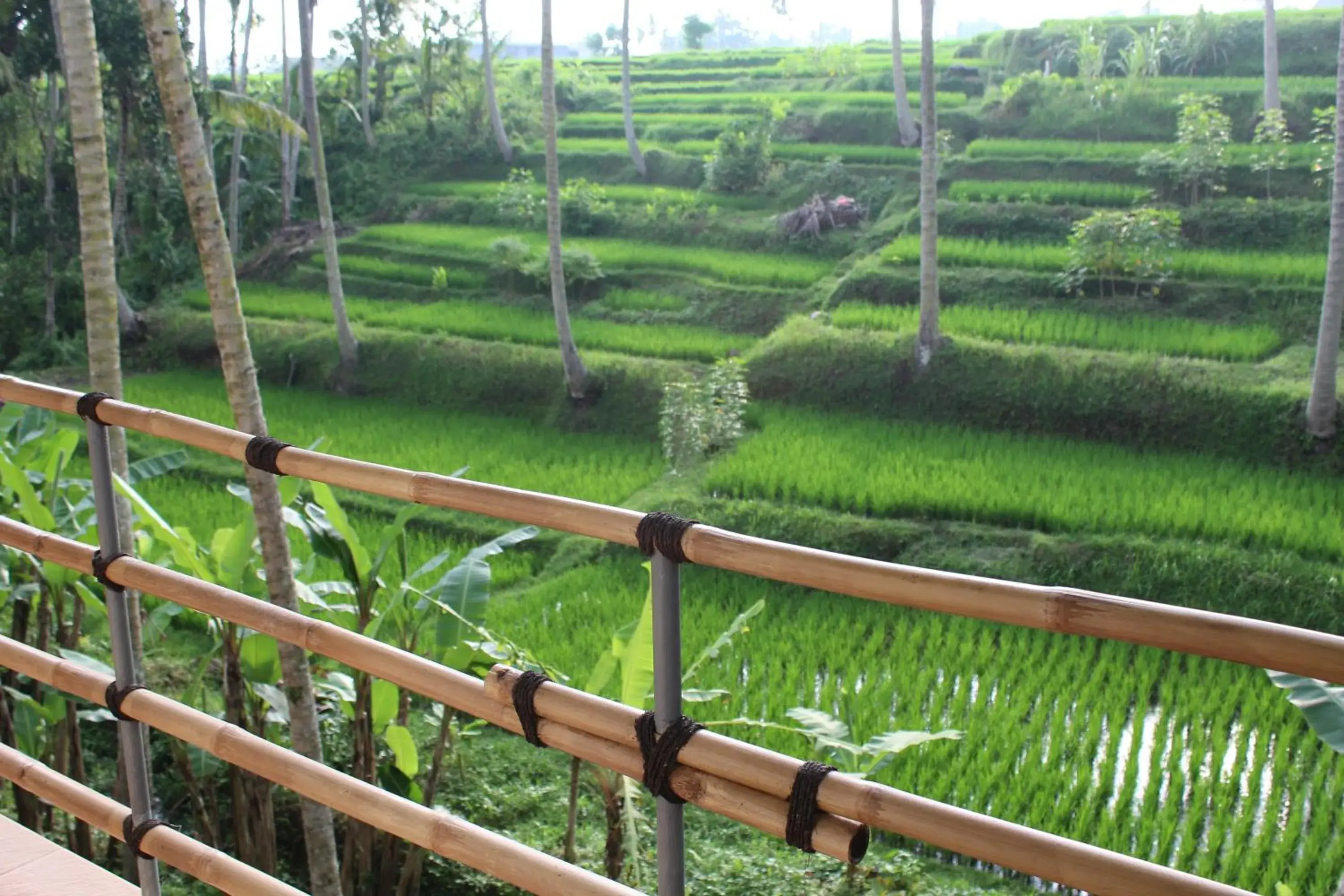 View (from property/room) in Junjungan Suite View (from property/room) in Junjungan Suite