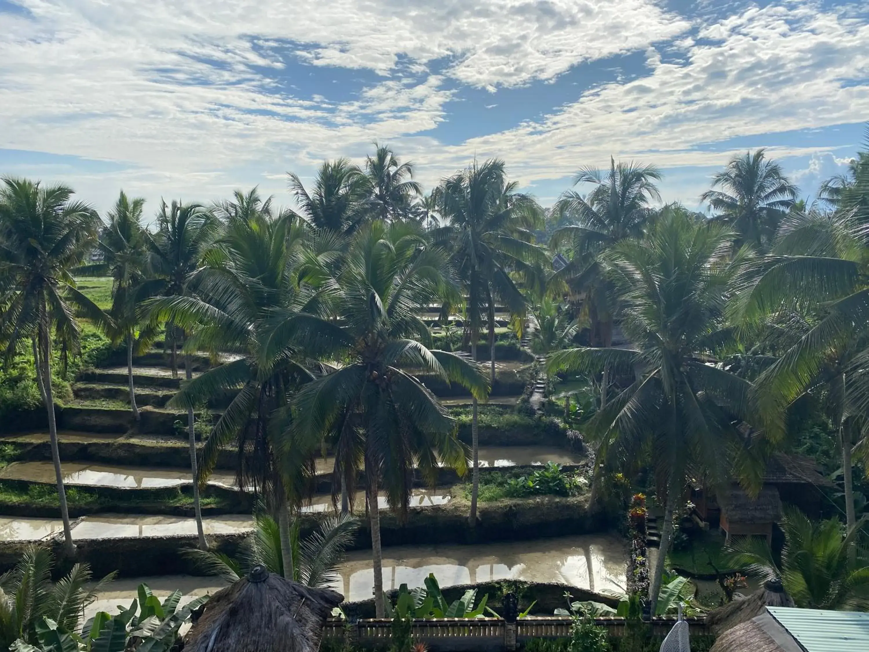 View (from property/room) in Junjungan Suite View (from property/room) in Junjungan Suite