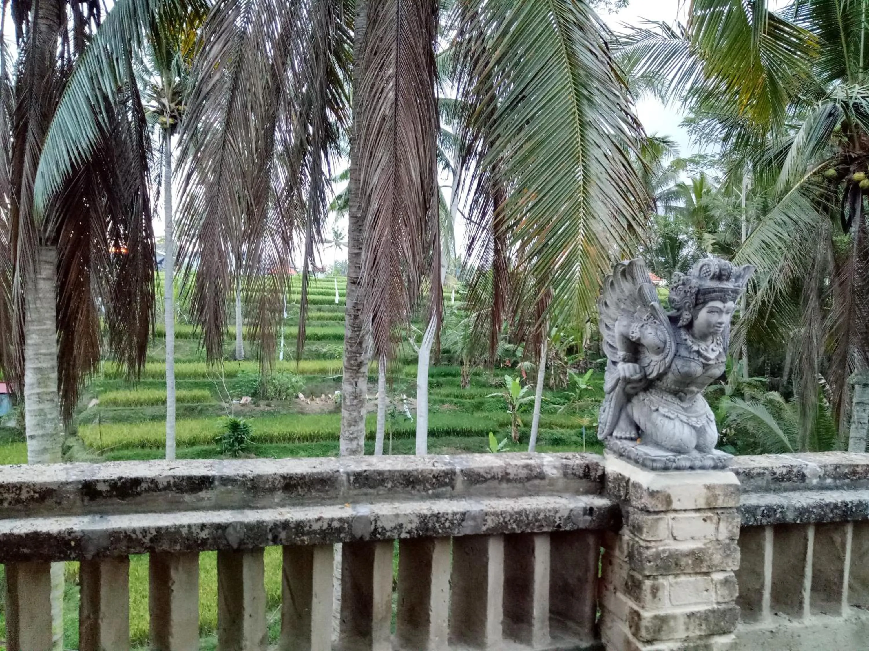 View (from property/room) in Junjungan Suite