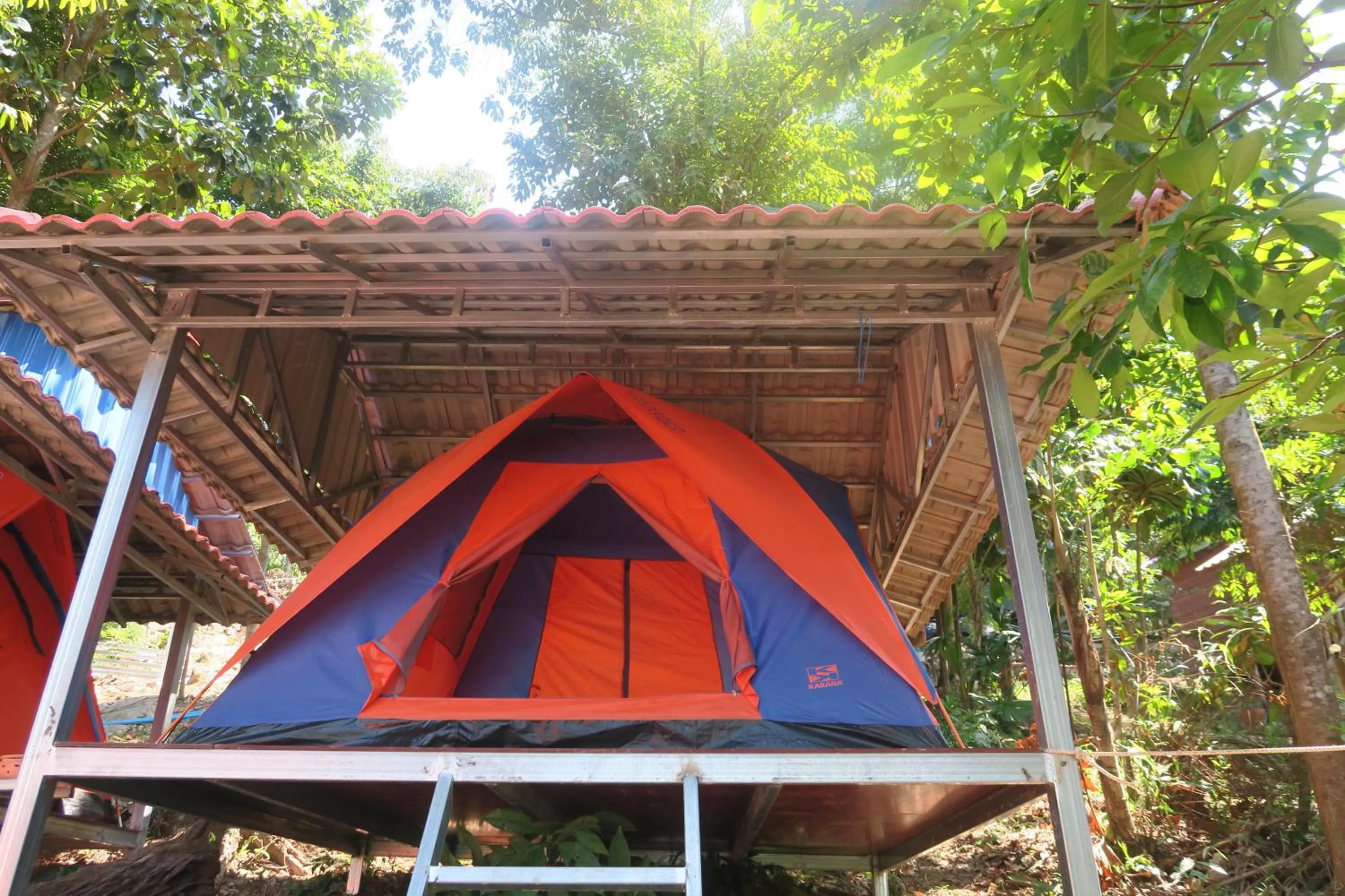 Summer in Coconutbeach Bungalows