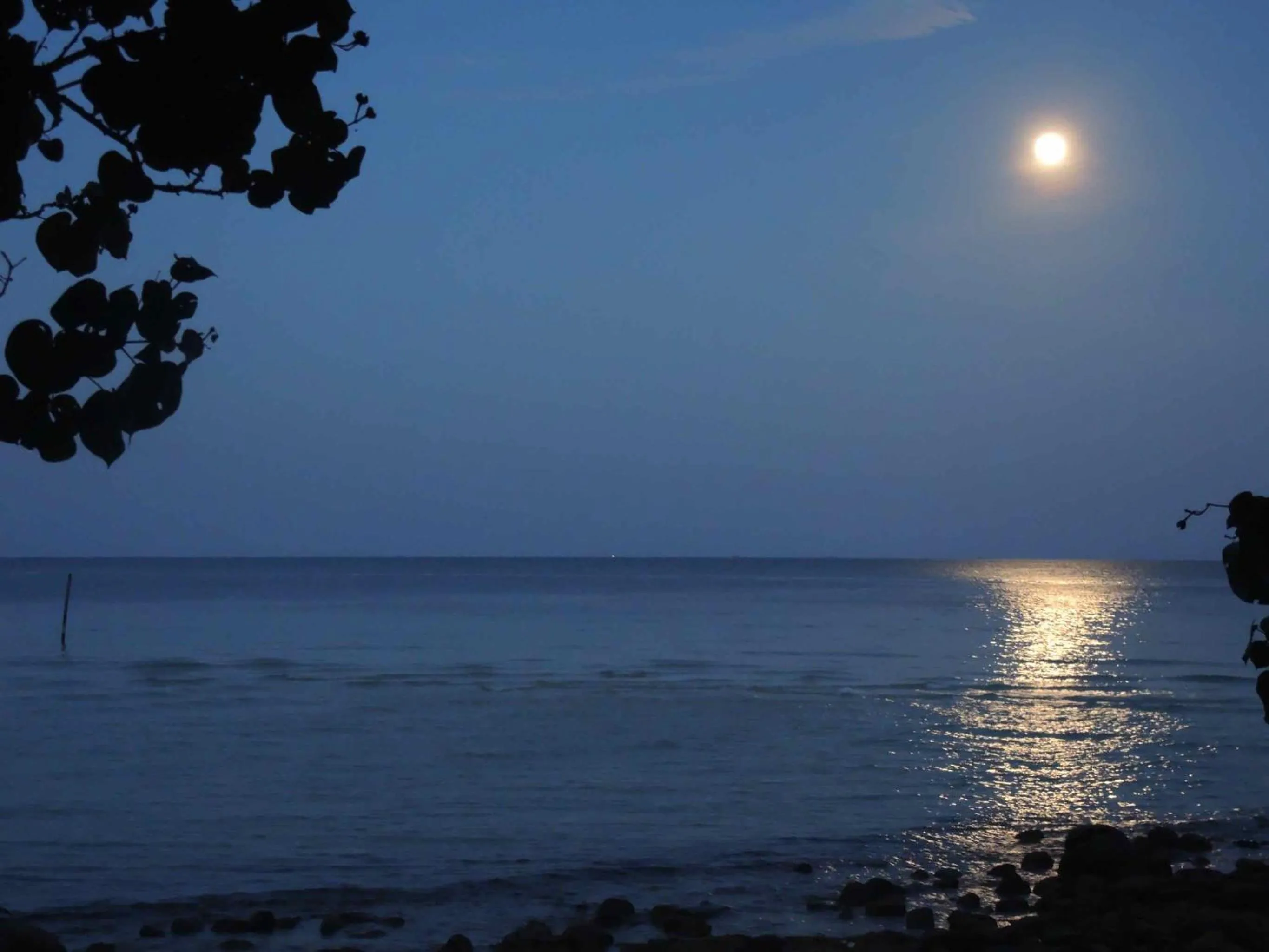 Night in Coconutbeach Bungalows