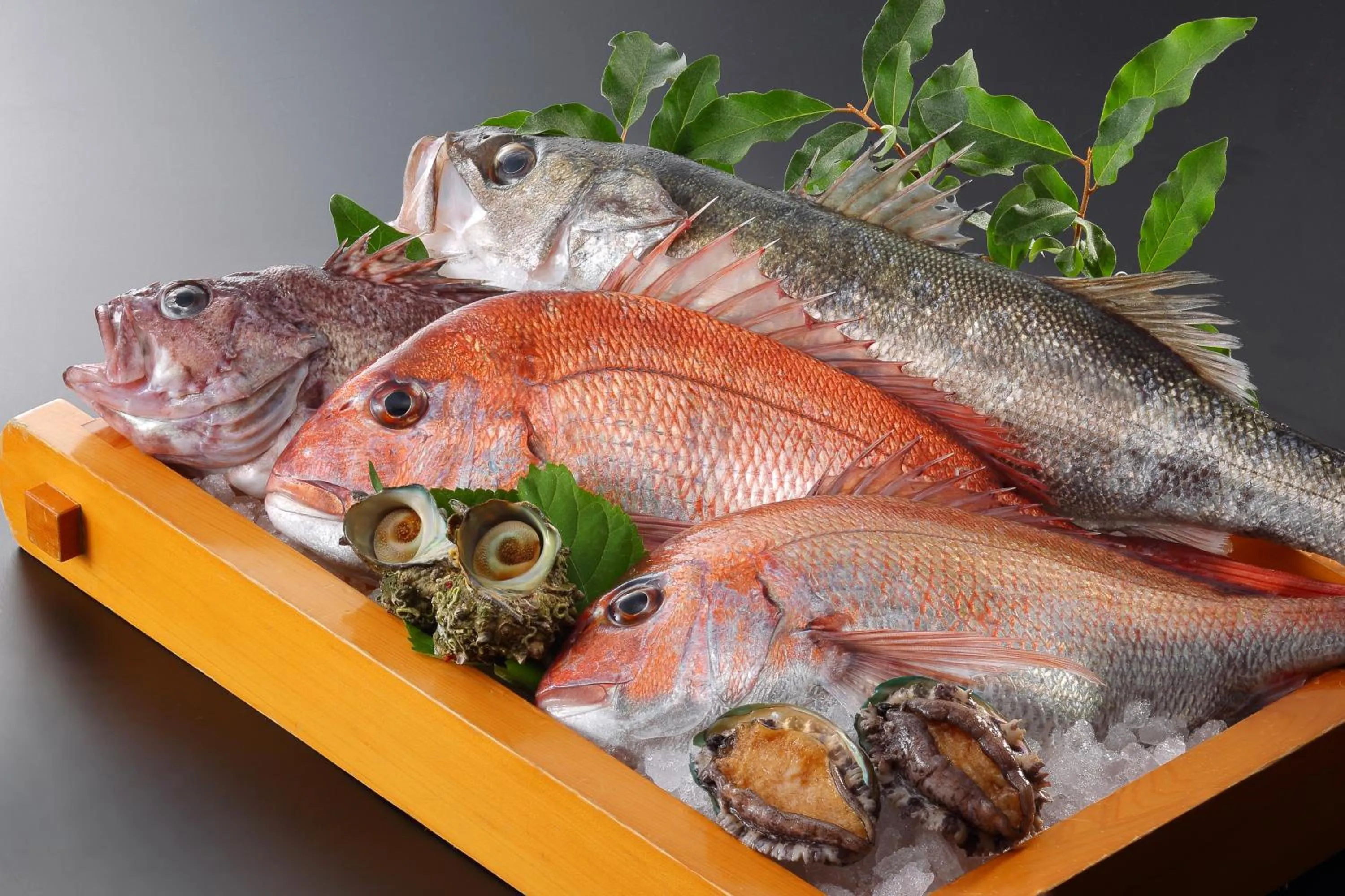 Food close-up in Tachibanaya