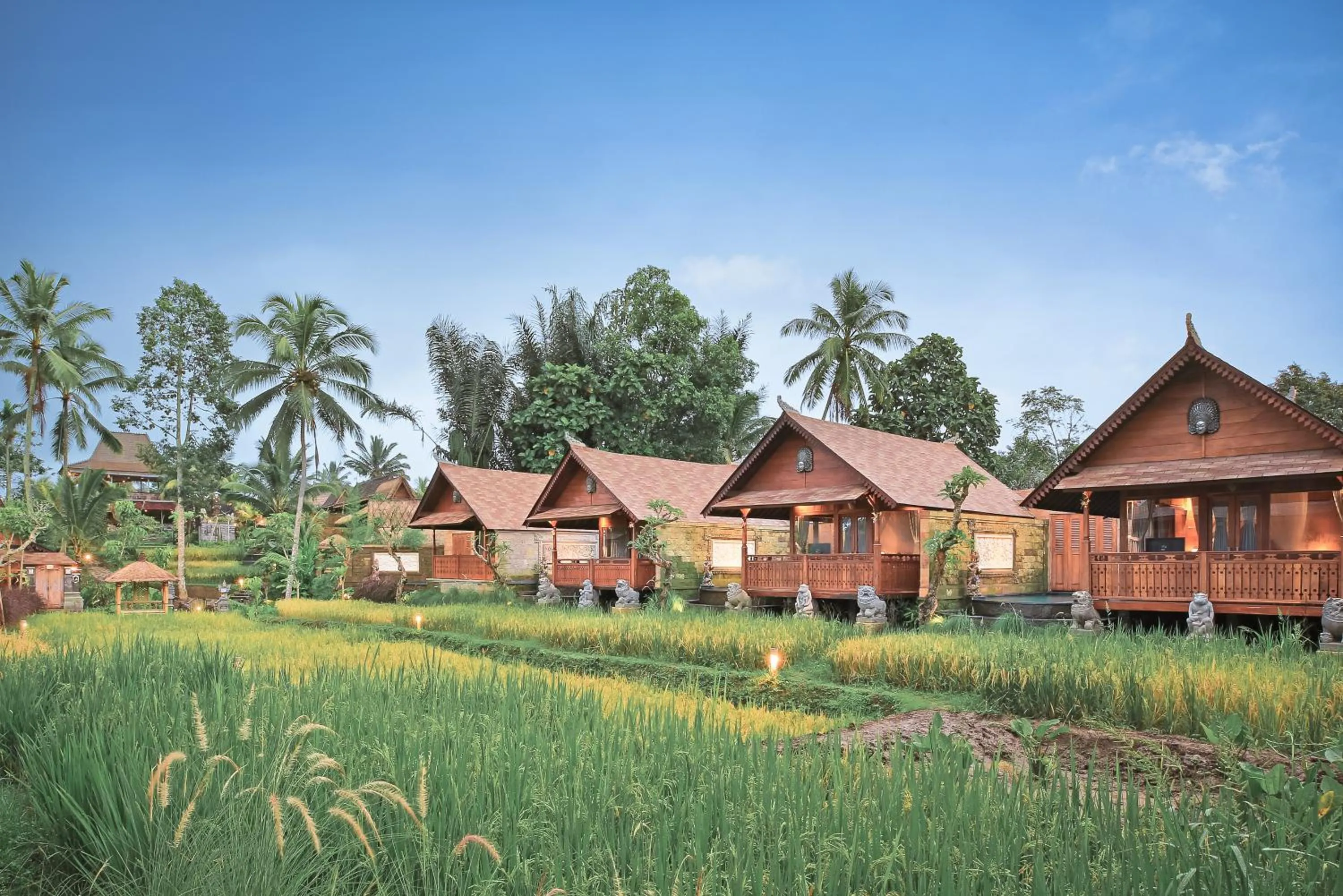 One Bedroom Rice Field View Pool Villa in Lawani Resort