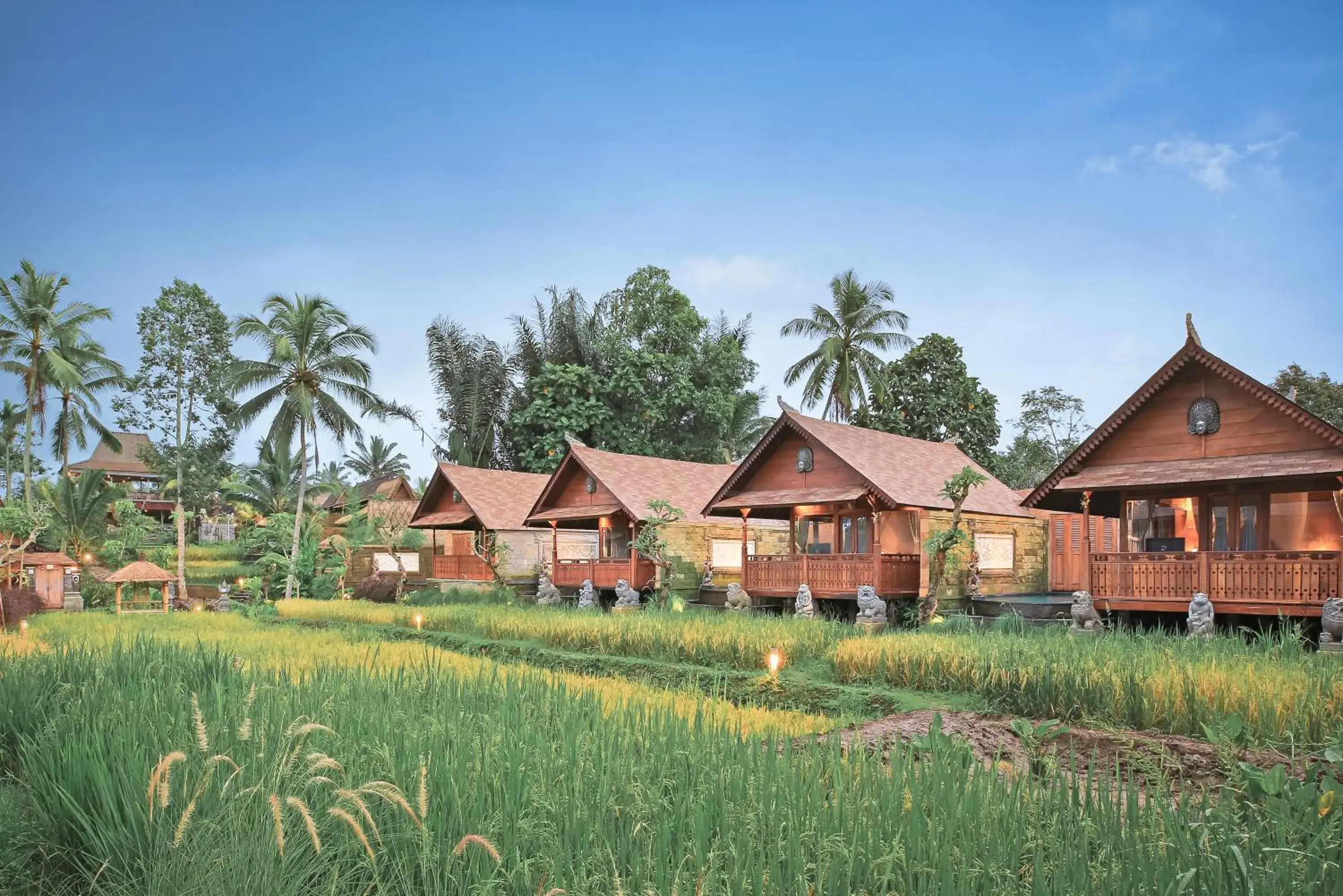 One Bedroom Rice Field View Pool Villa in Lawani Resort One Bedroom Rice Field View Pool Villa in Lawani Resort