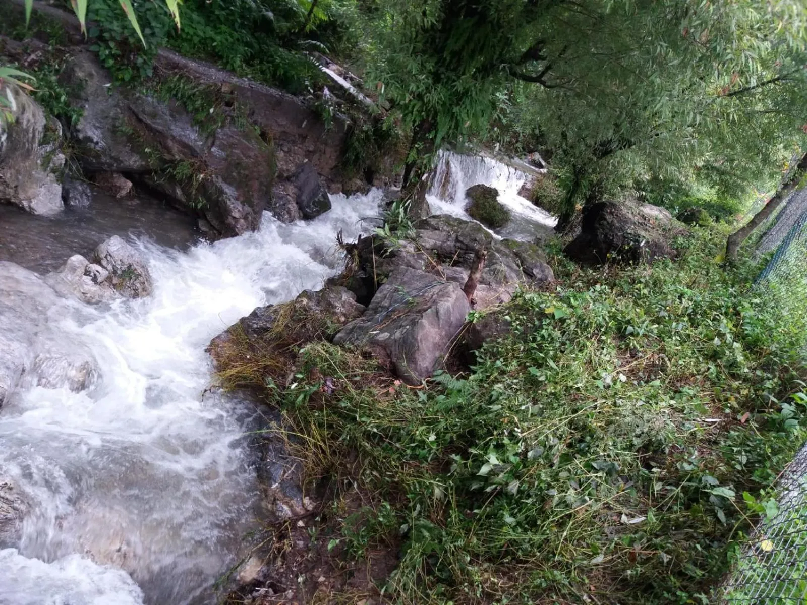River view in NATURE WALK RESORT Mussoorie