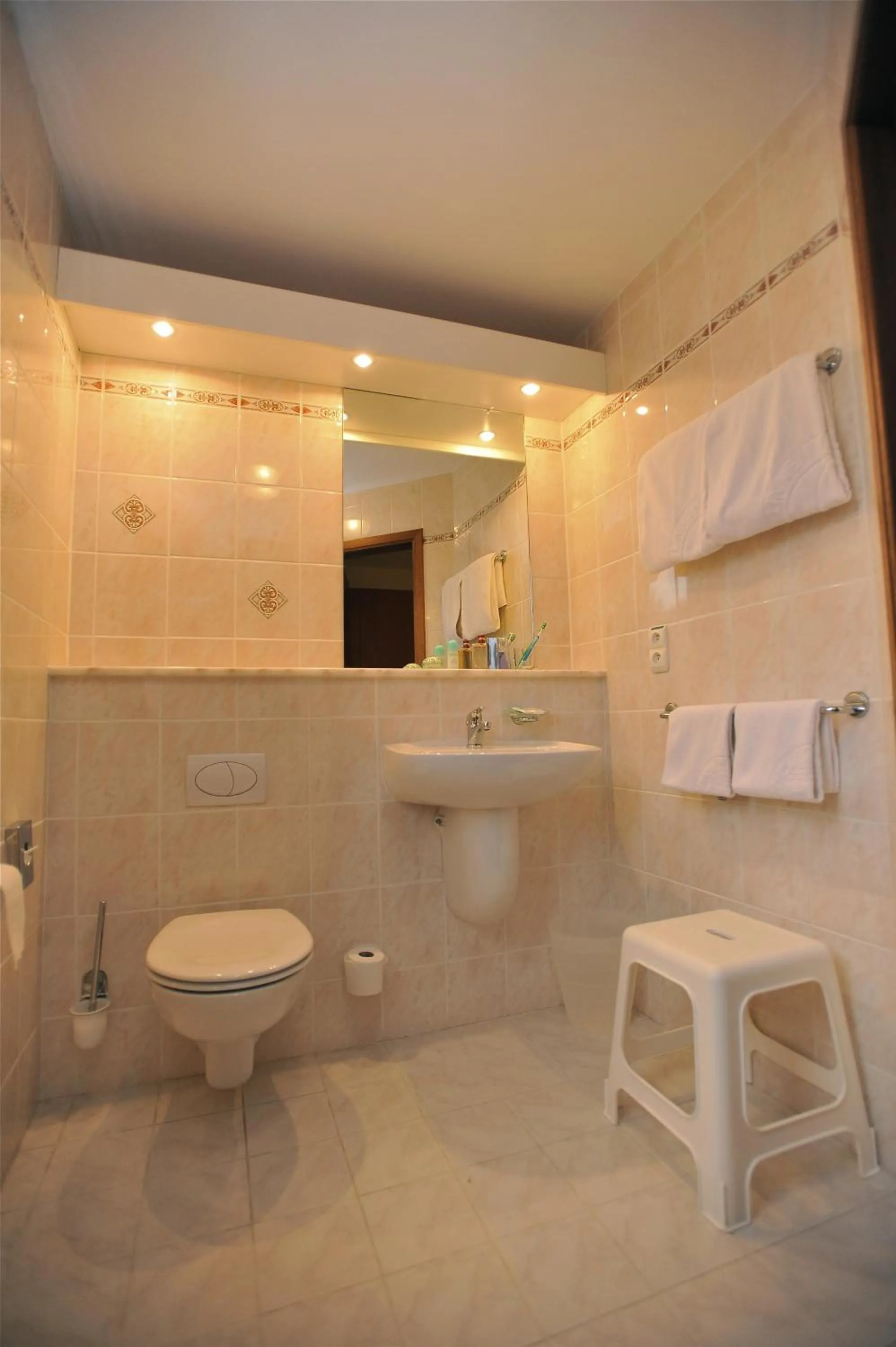 Toilet in Hostellerie d'Inzepré