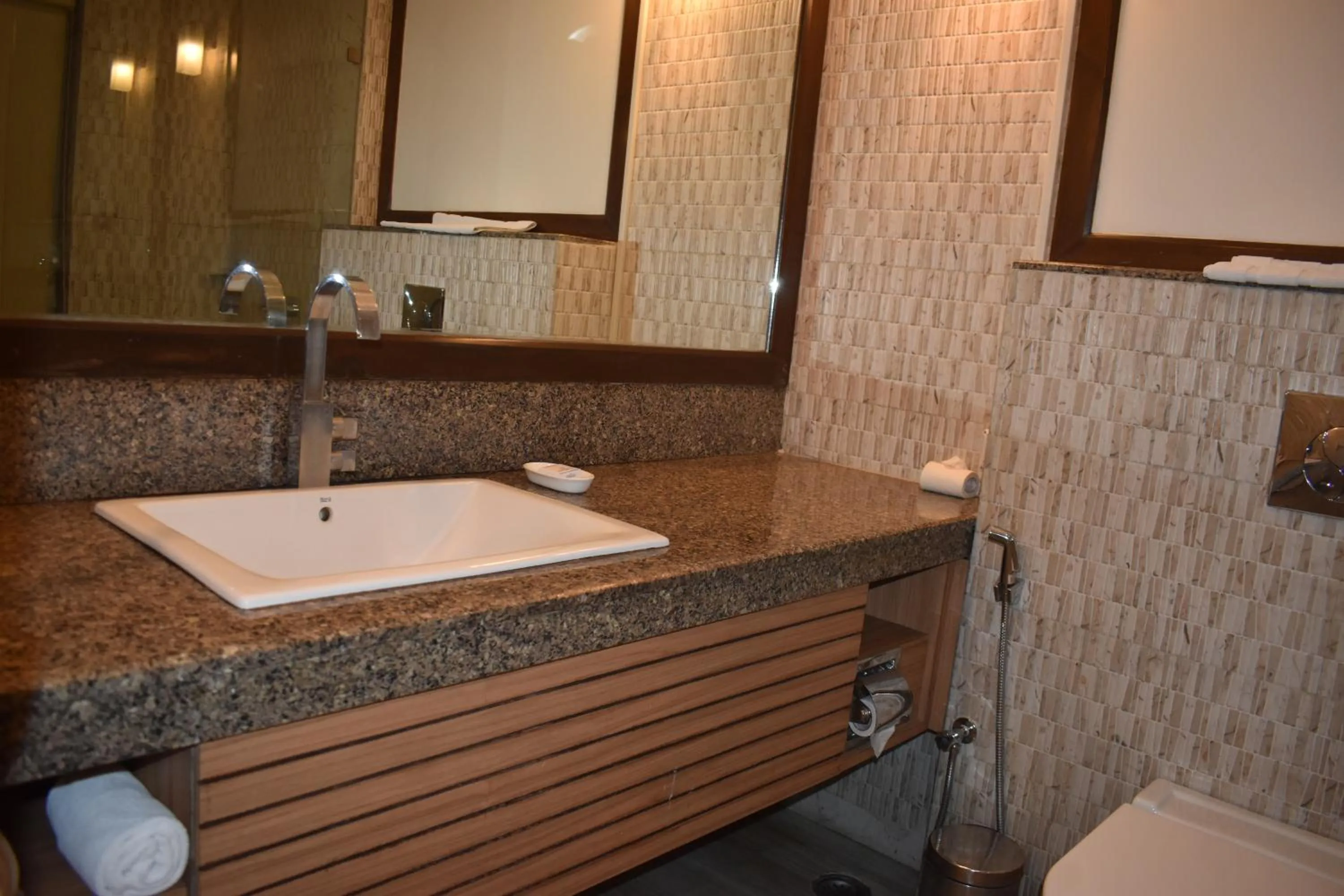 Bathroom in Chanakya Hotel, Patna