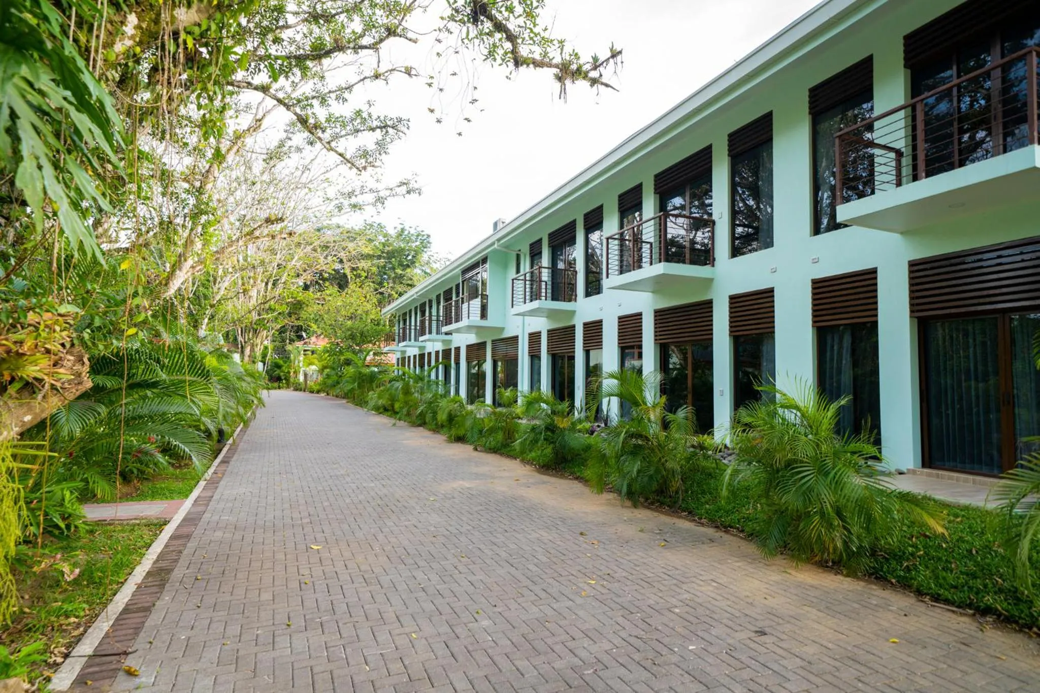 Natural landscape in Bungalows Beachfront Hotel
