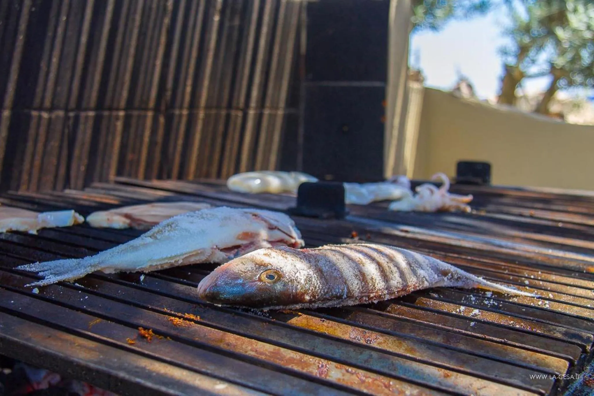 BBQ facilities in Villa LA CESA & Villino LA CASETTA Holiday Houses CON JACUZZI