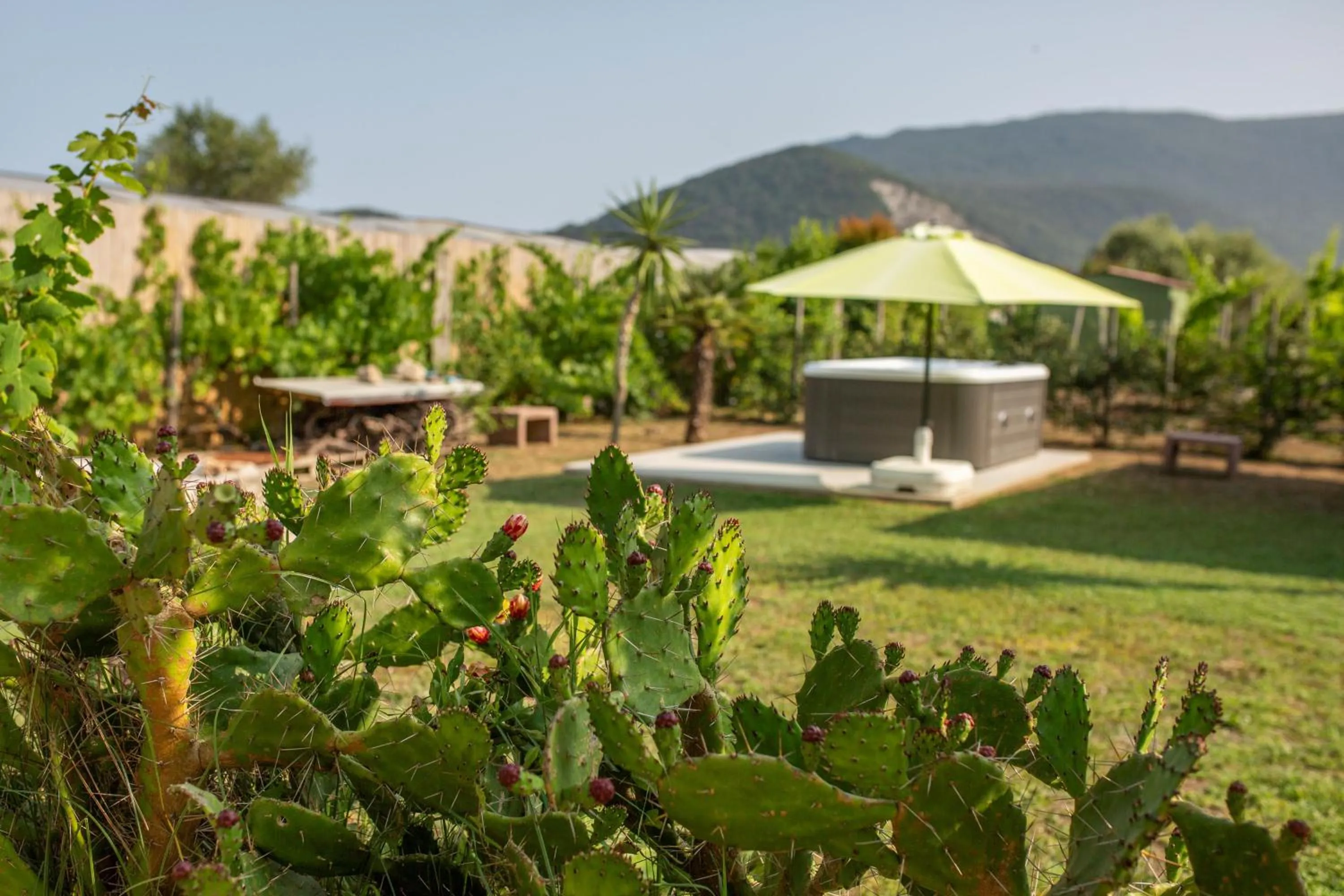 Spring in Villa LA CESA & Villino LA CASETTA Holiday Houses CON JACUZZI