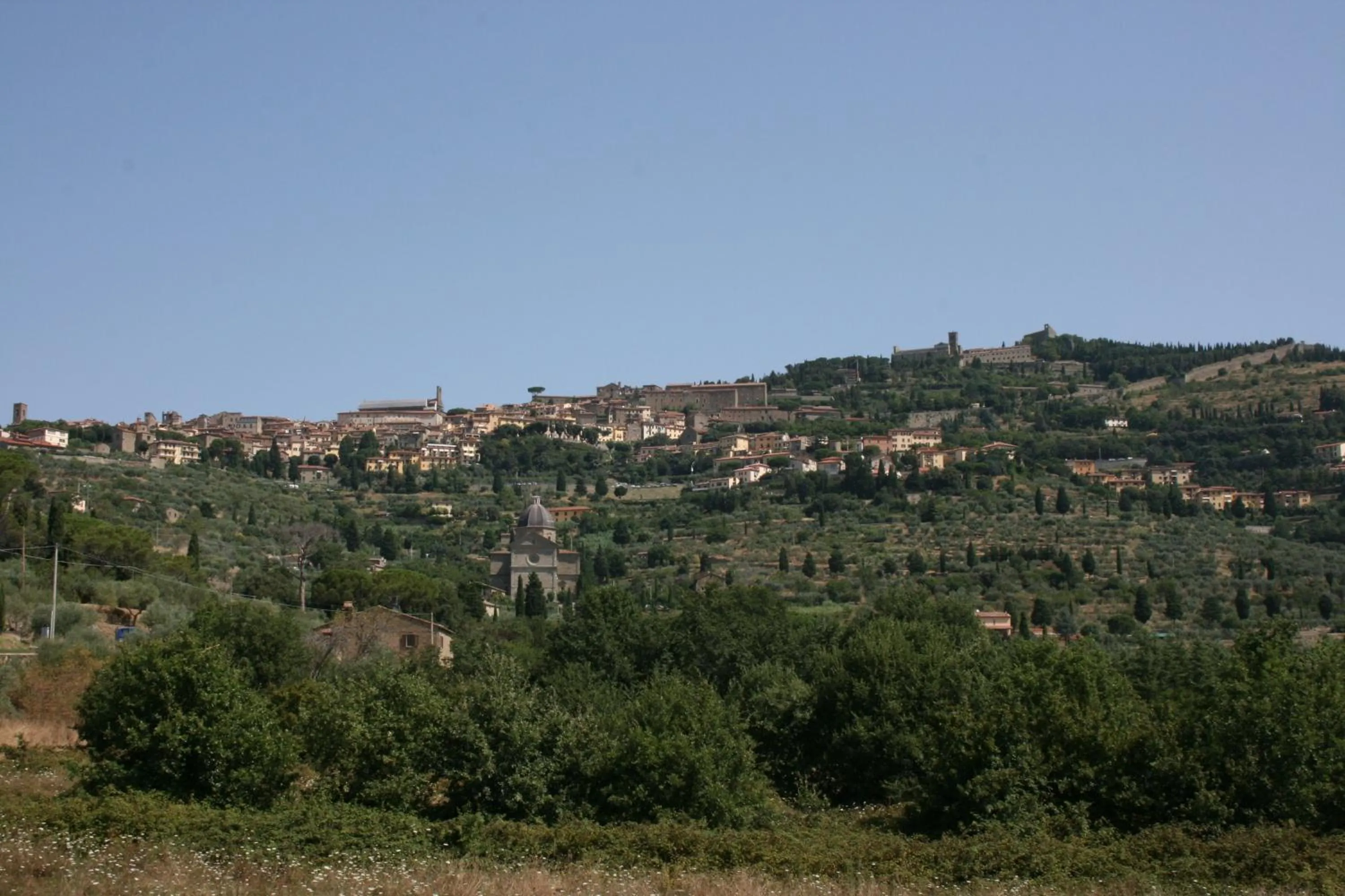 Area and facilities in San Eusebio