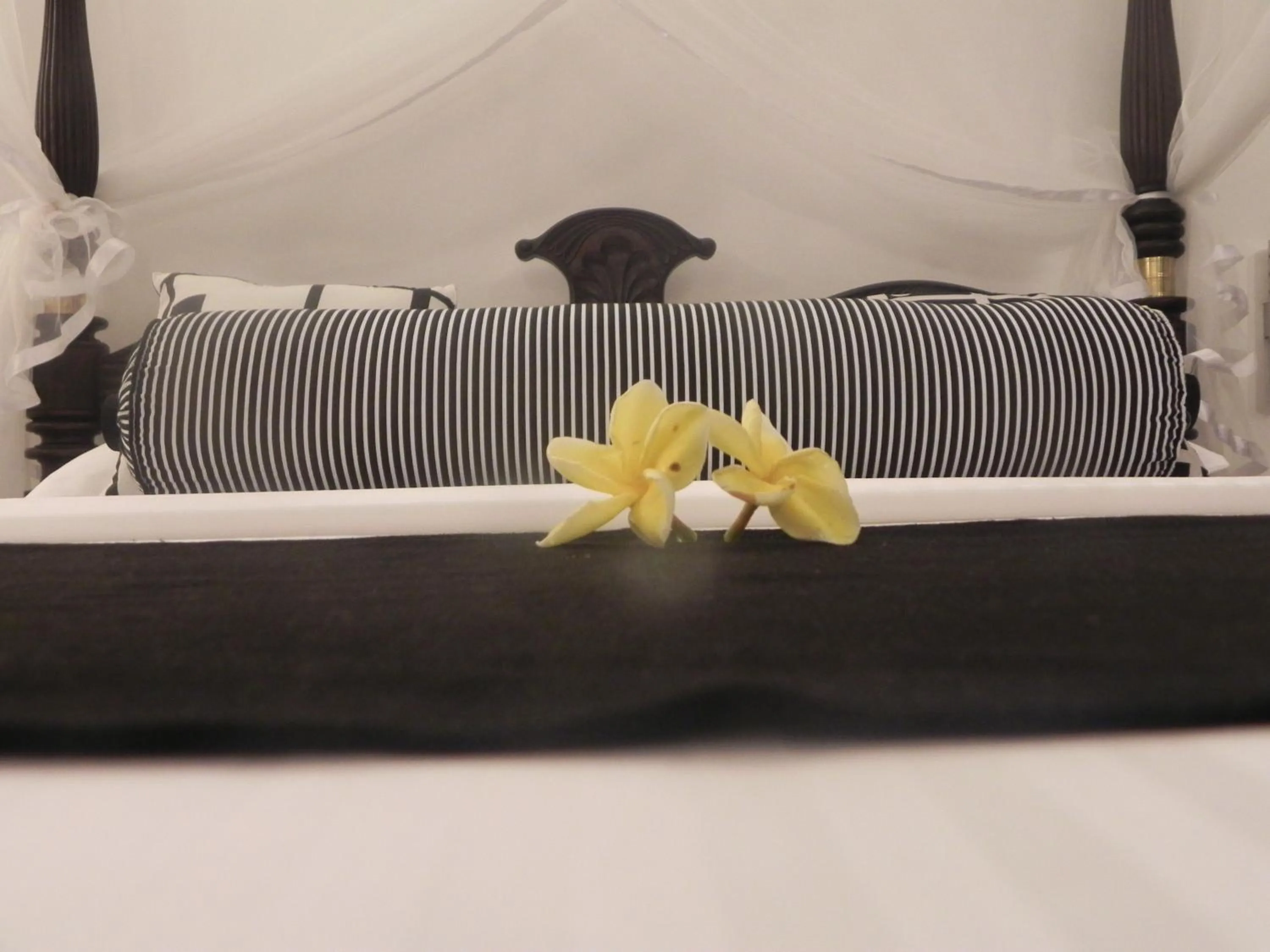 Decorative detail in Amanda Beach Villas