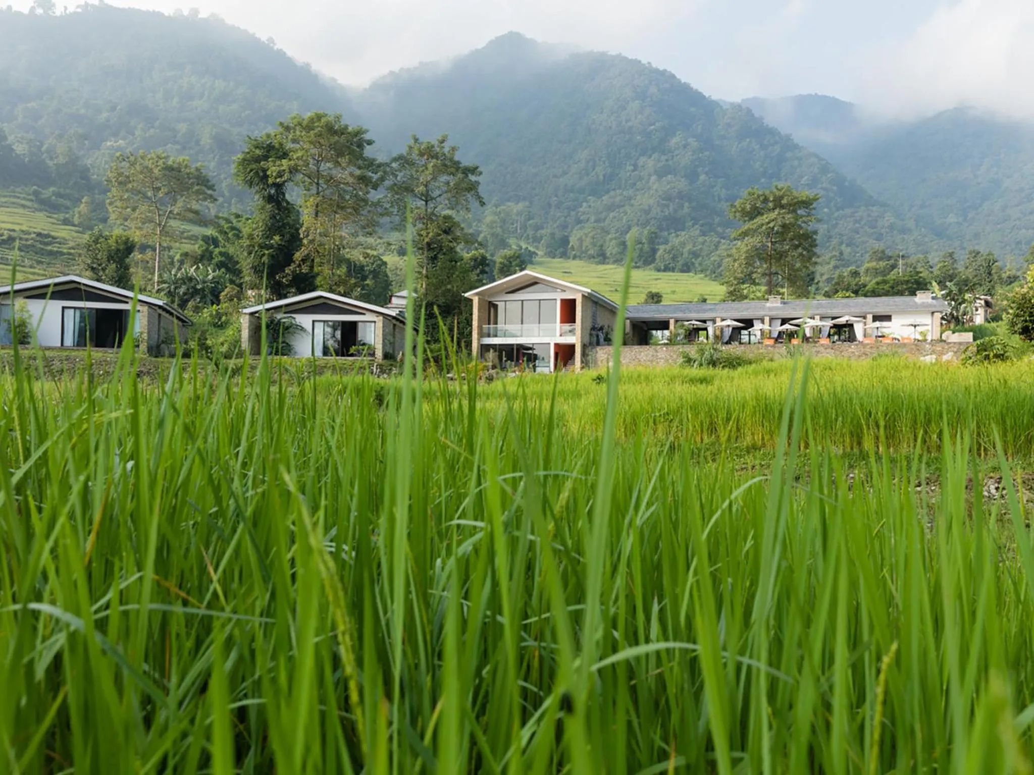 Other in The Pavilions Himalayas The Farm