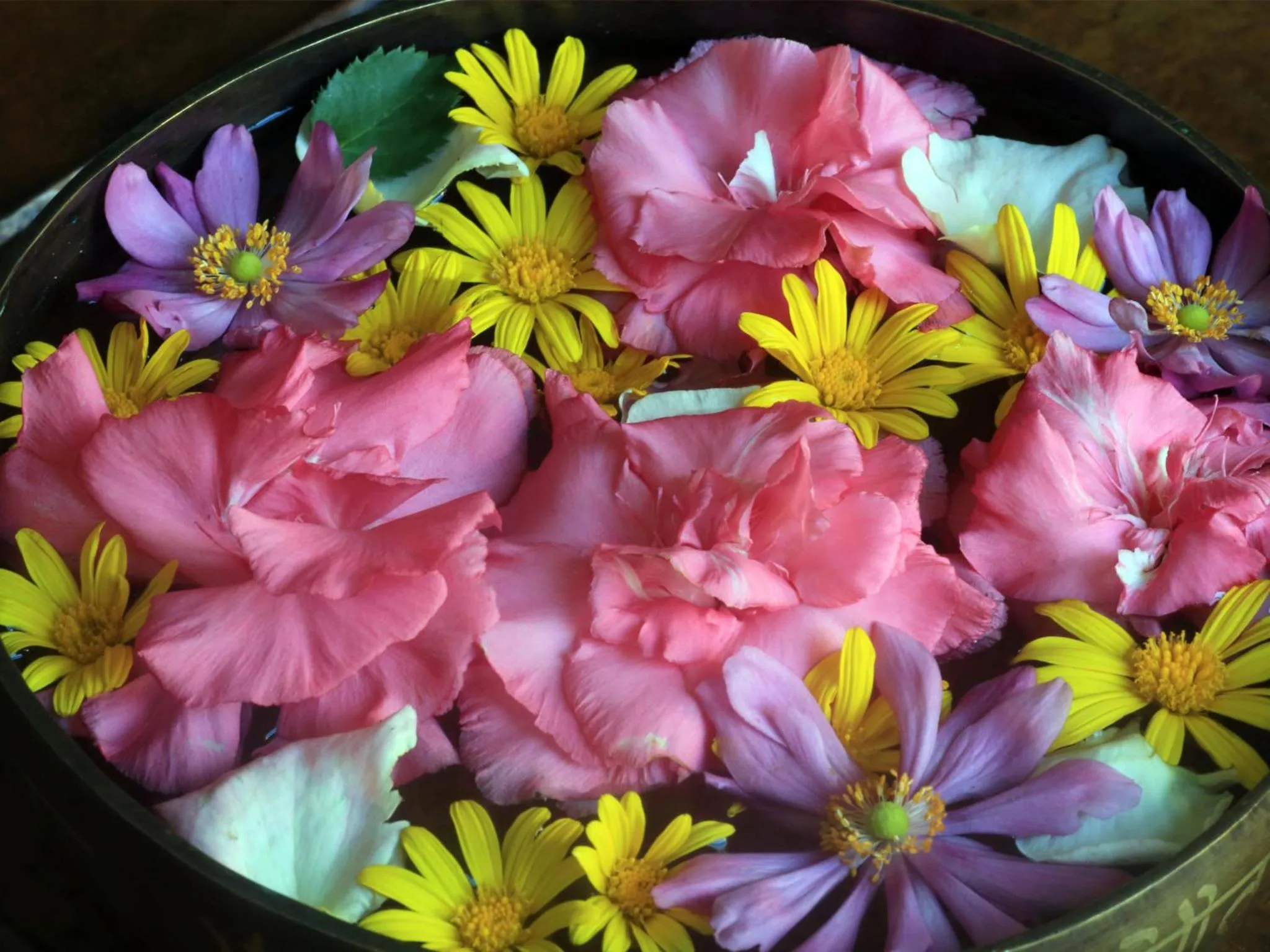 Spa and wellness centre/facilities in The Pavilions Himalayas The Farm