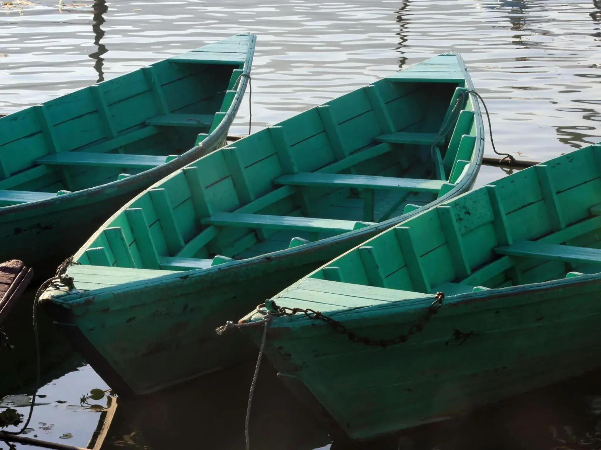 View (from property/room) in The Pavilions Himalayas The Farm View (from property/room) in The Pavilions Himalayas The Farm