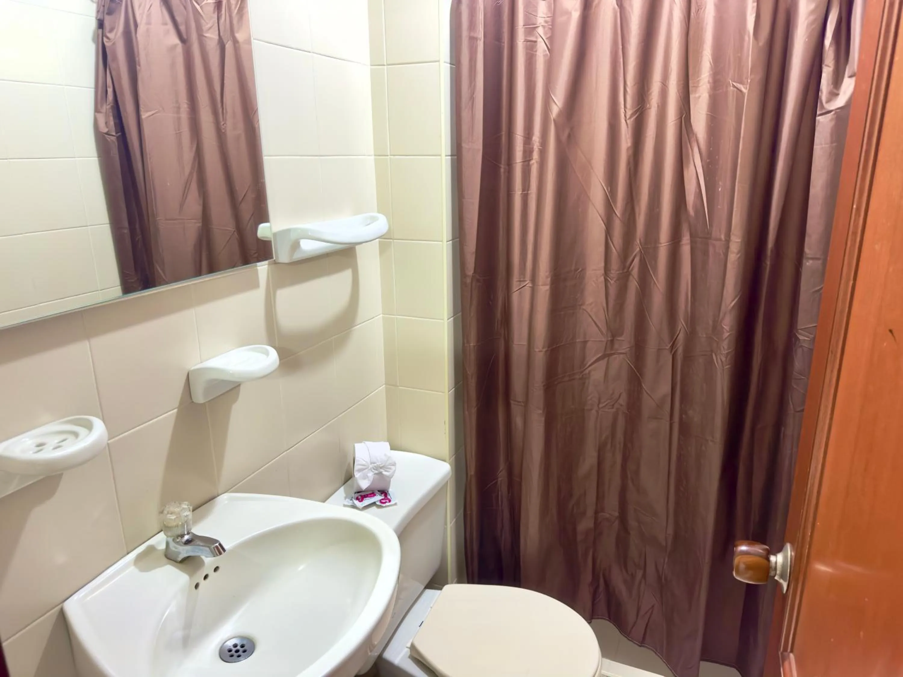 Shower in Hotel Pereira Central