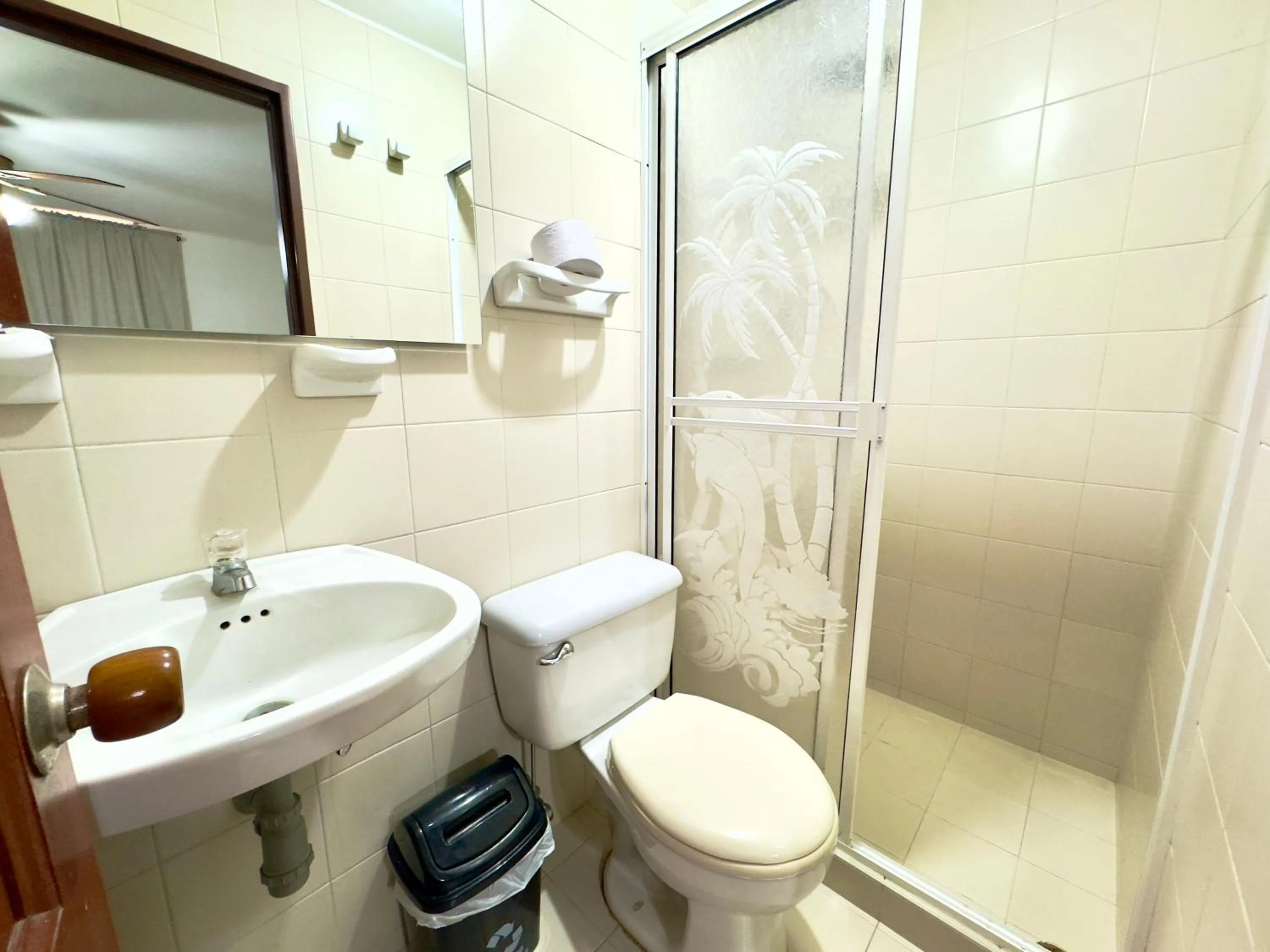 Shower in Hotel Pereira Central