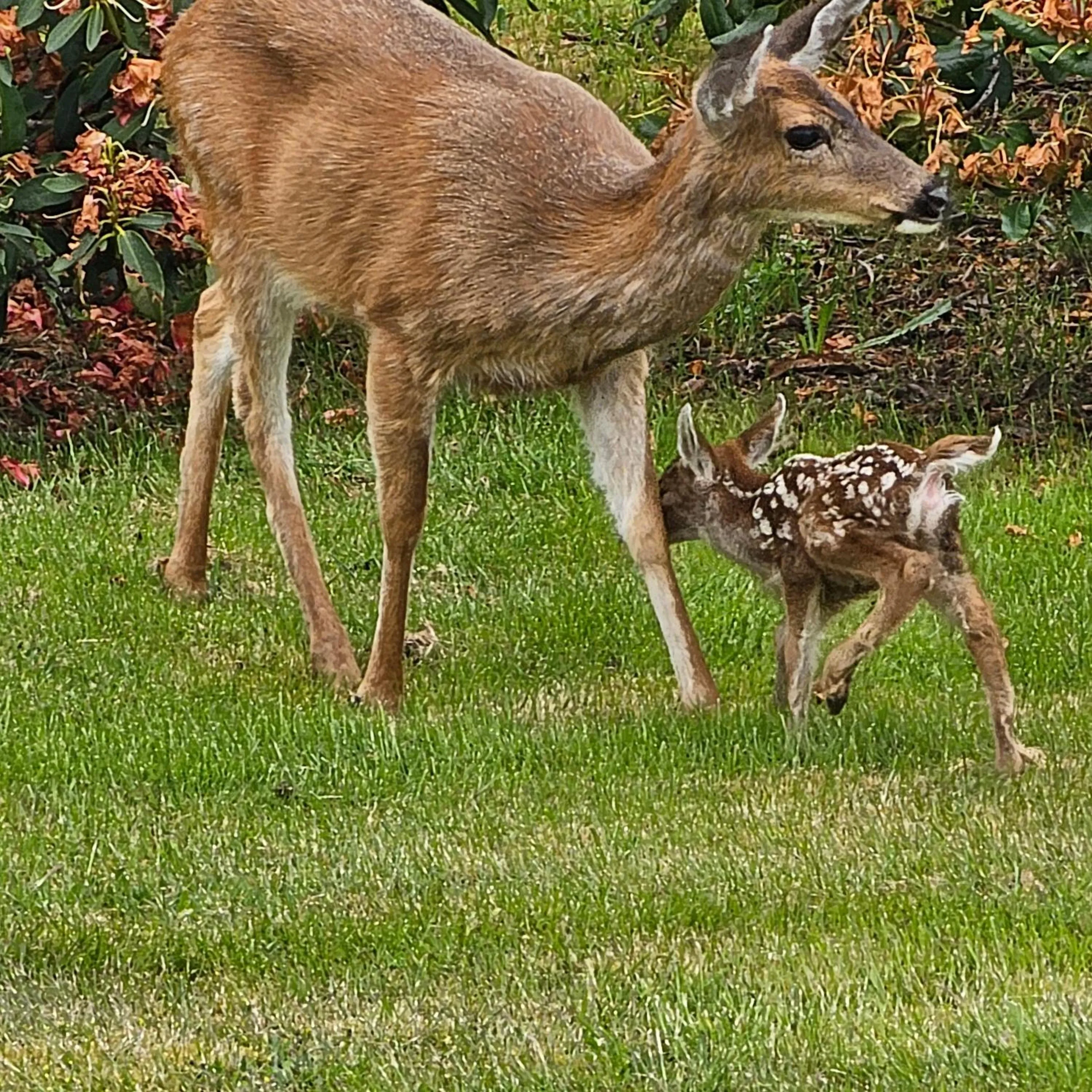 Day in Pacific Rim Motel