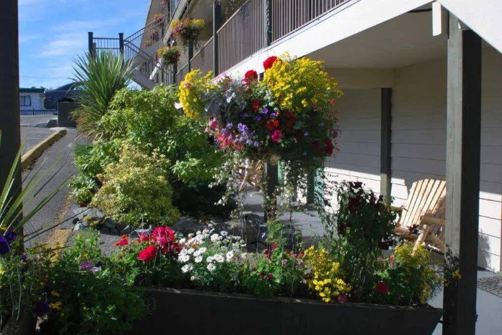 Garden view in Pacific Rim Motel