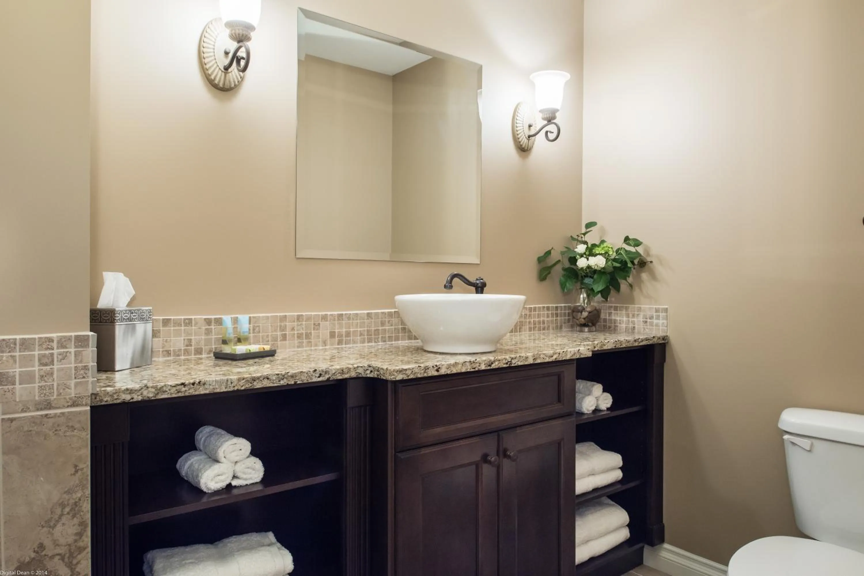 Toilet in The Castle at Swan Lake