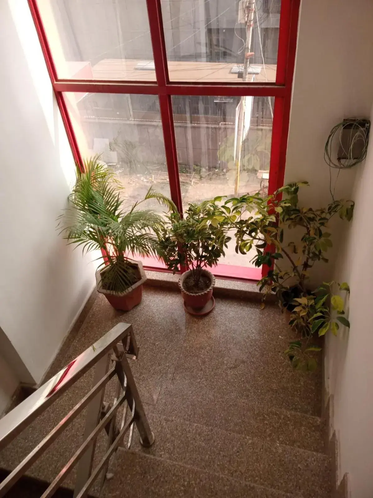 View (from property/room) in Jaiswal Home Stay View (from property/room) in Jaiswal Home Stay