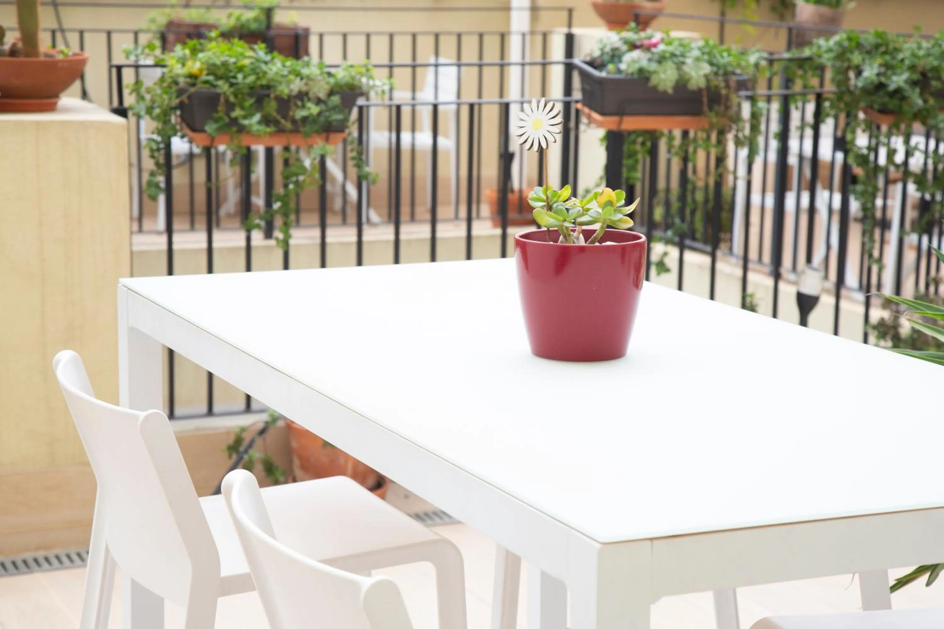 Balcony/Terrace in Zalamera BnB