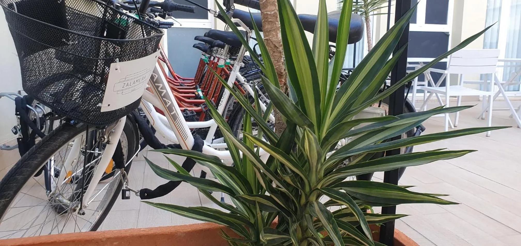 Off site in Zalamera BnB