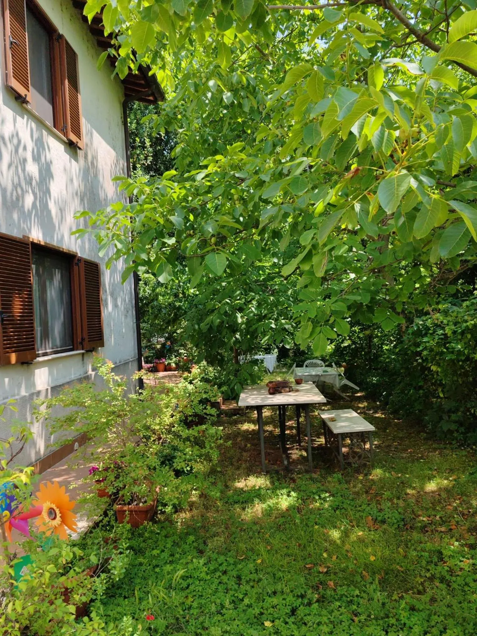Stella Polare B&B