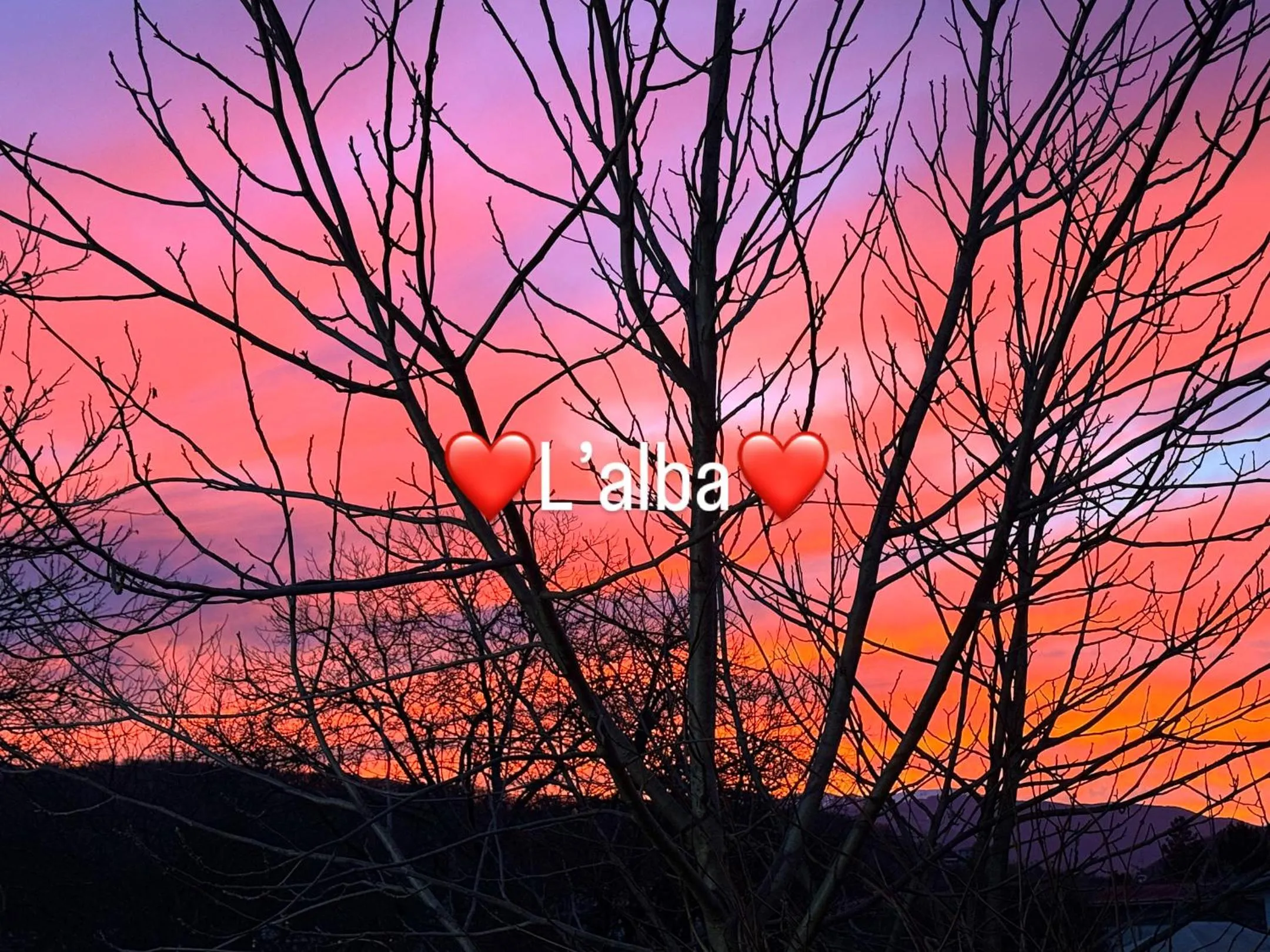 Stella Polare B&B