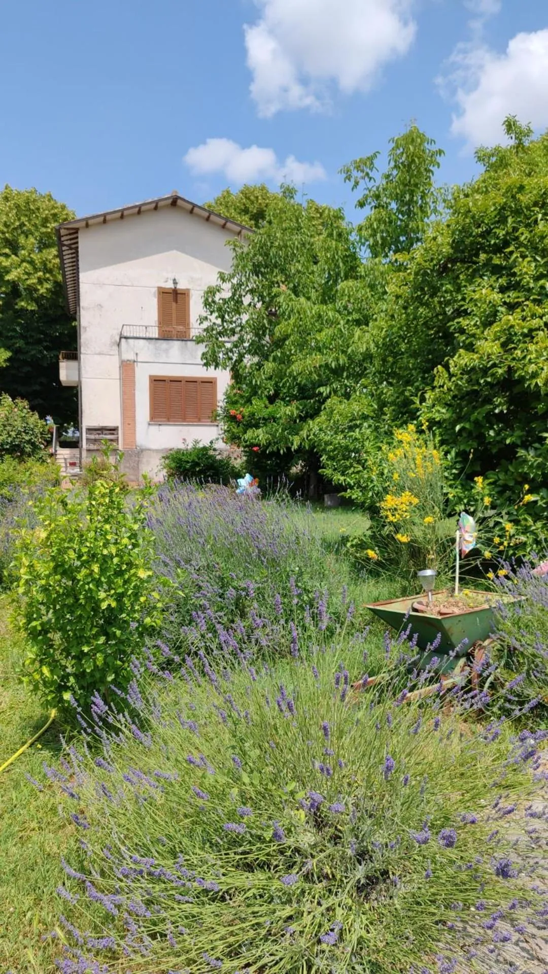 Stella Polare B&B