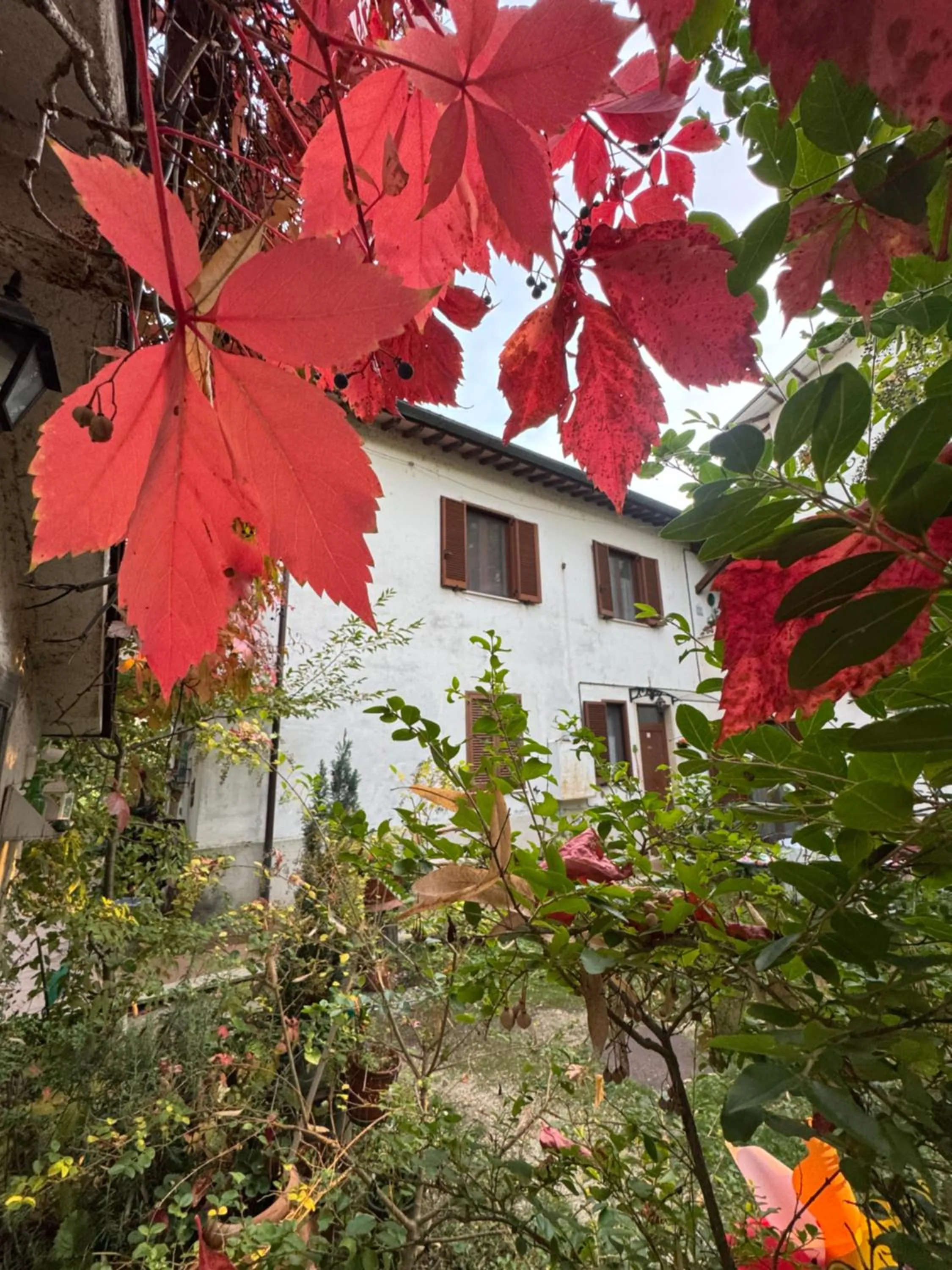 Stella Polare B&B