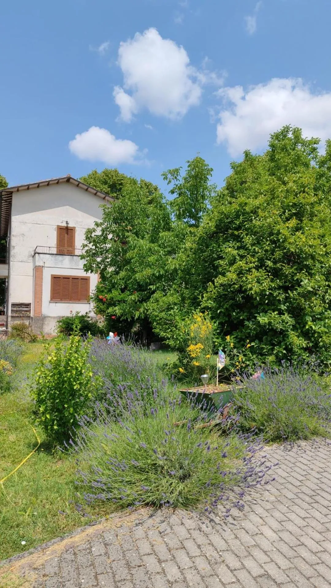 Stella Polare B&B