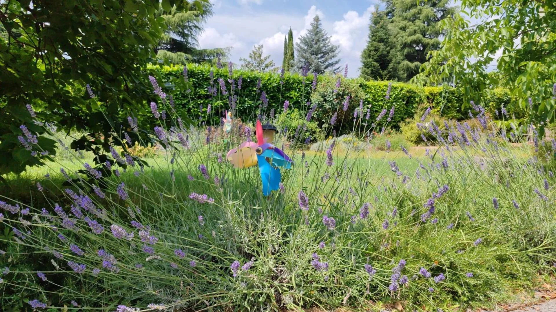 Stella Polare B&B