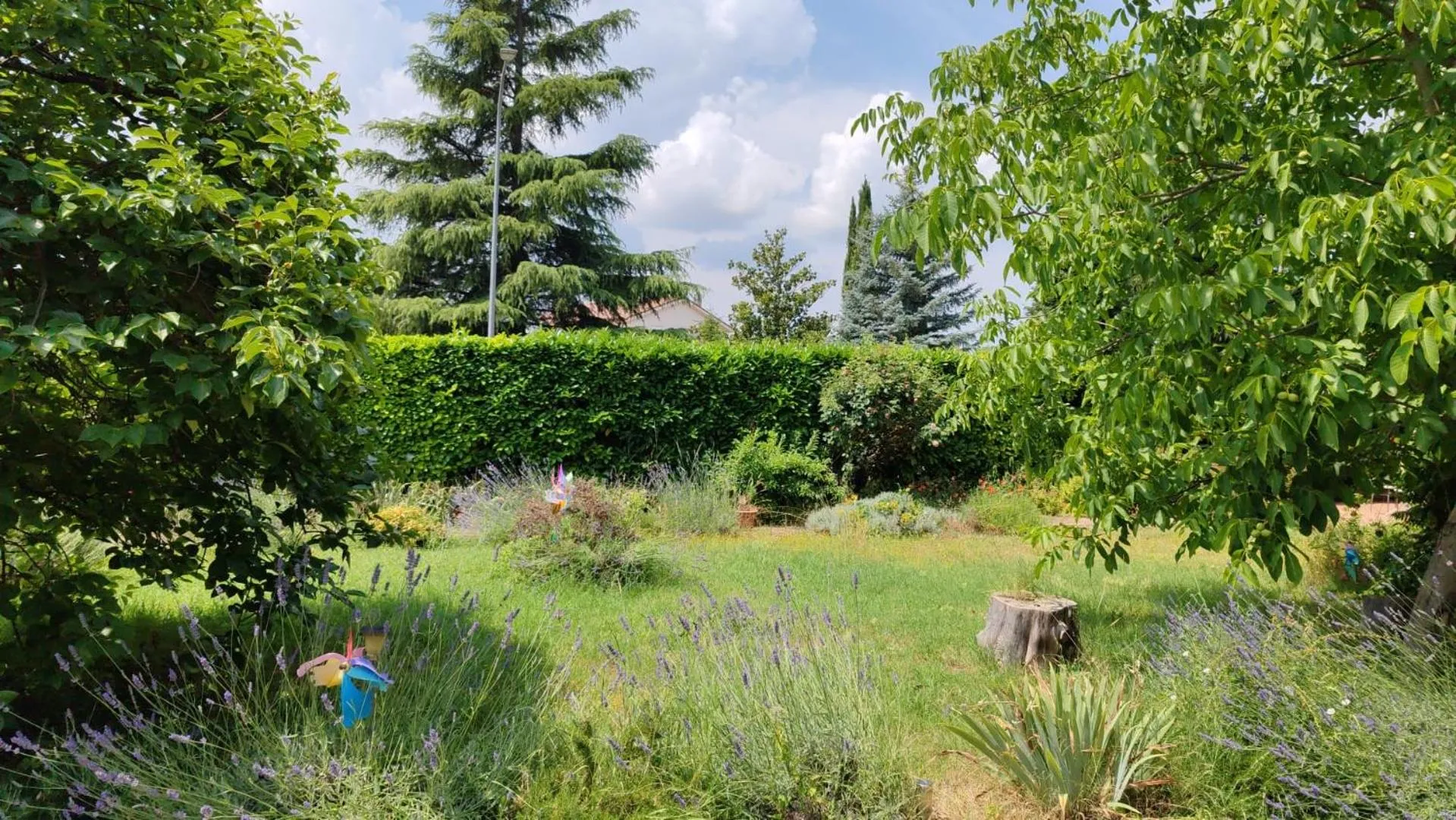 Stella Polare B&B