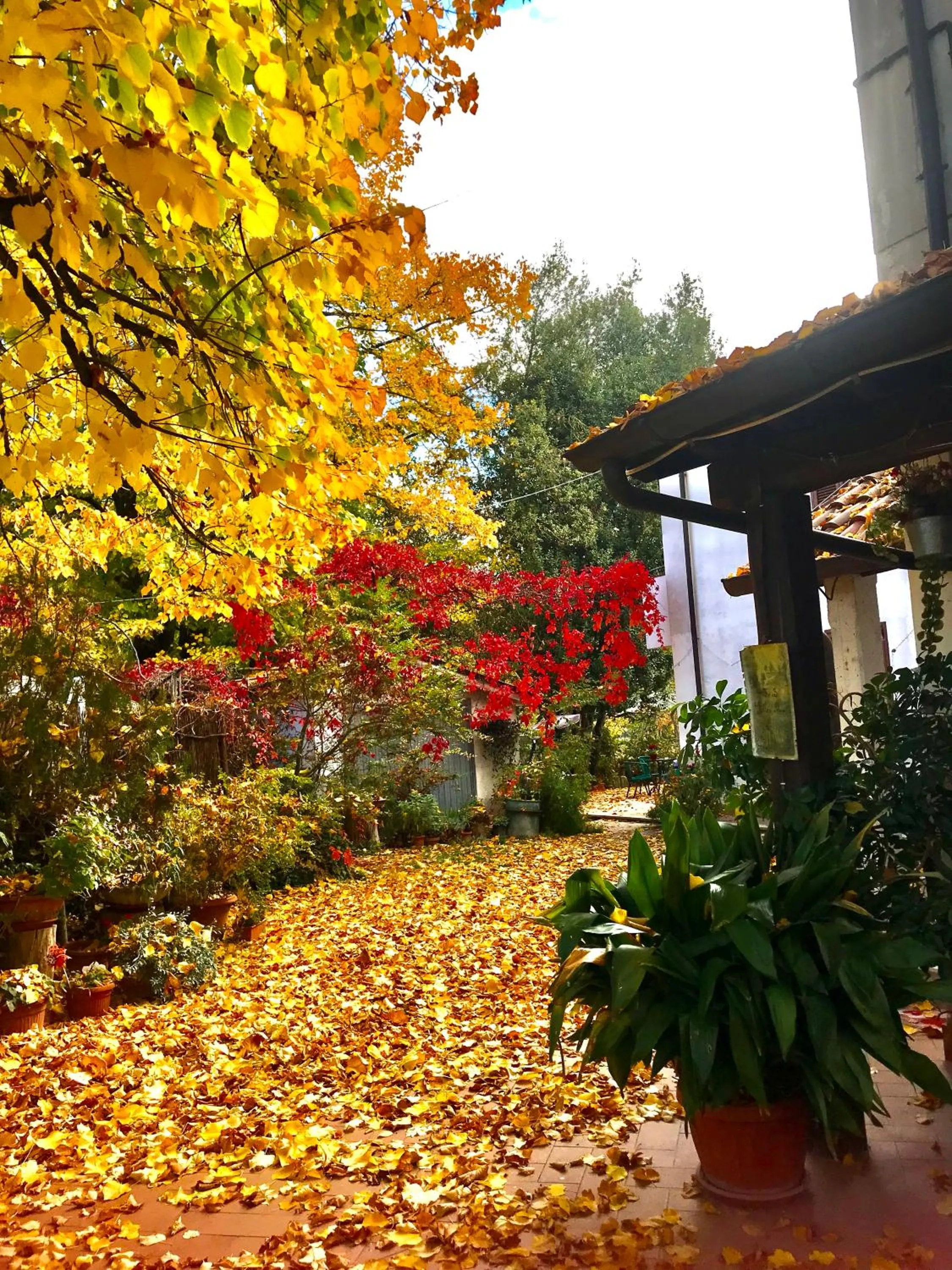 Stella Polare B&B