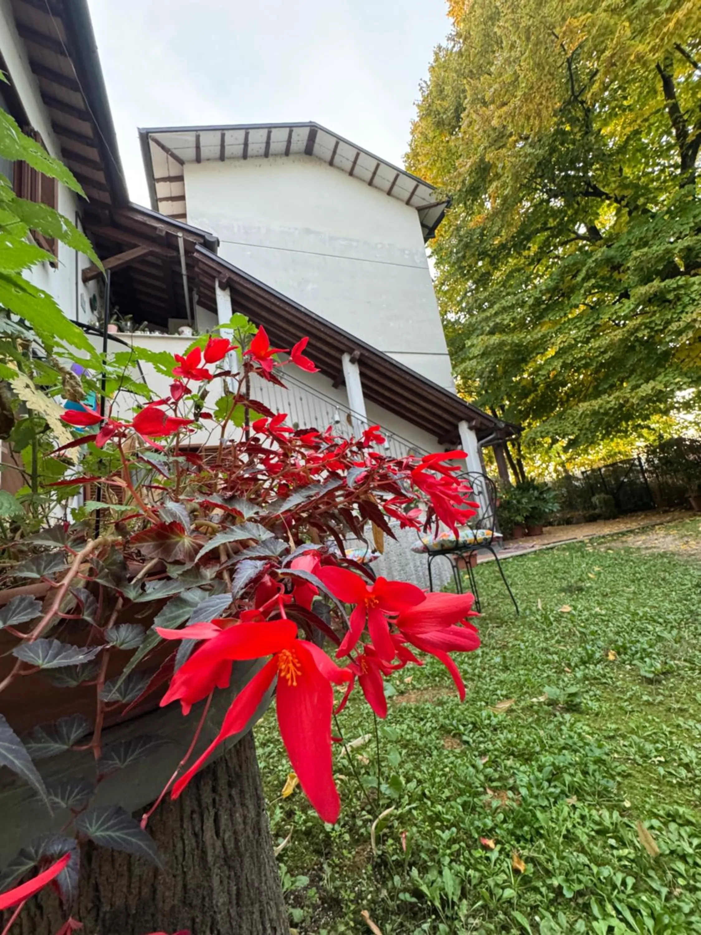Stella Polare B&B
