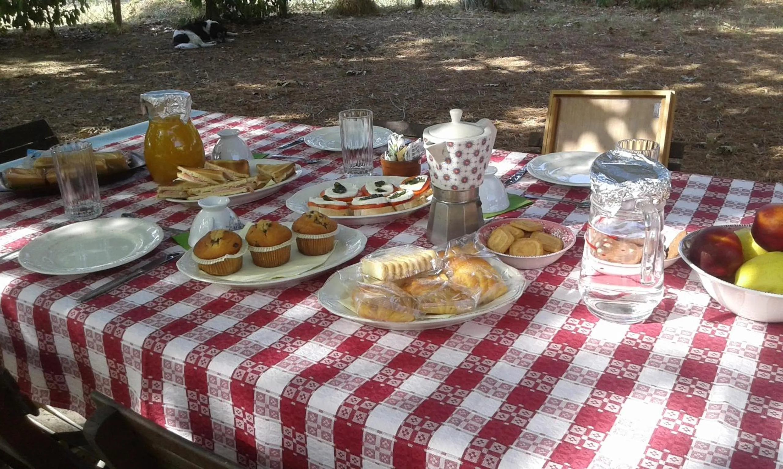 Breakfast in Campo alle Monache