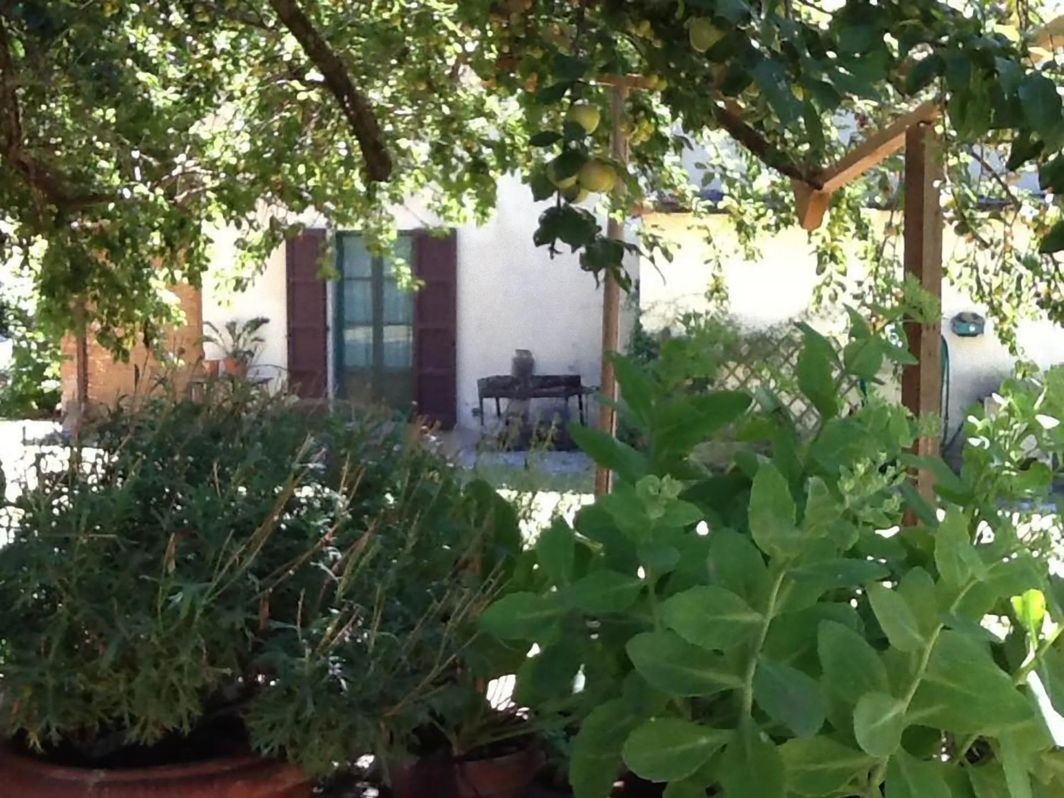 Garden in Campo alle Monache