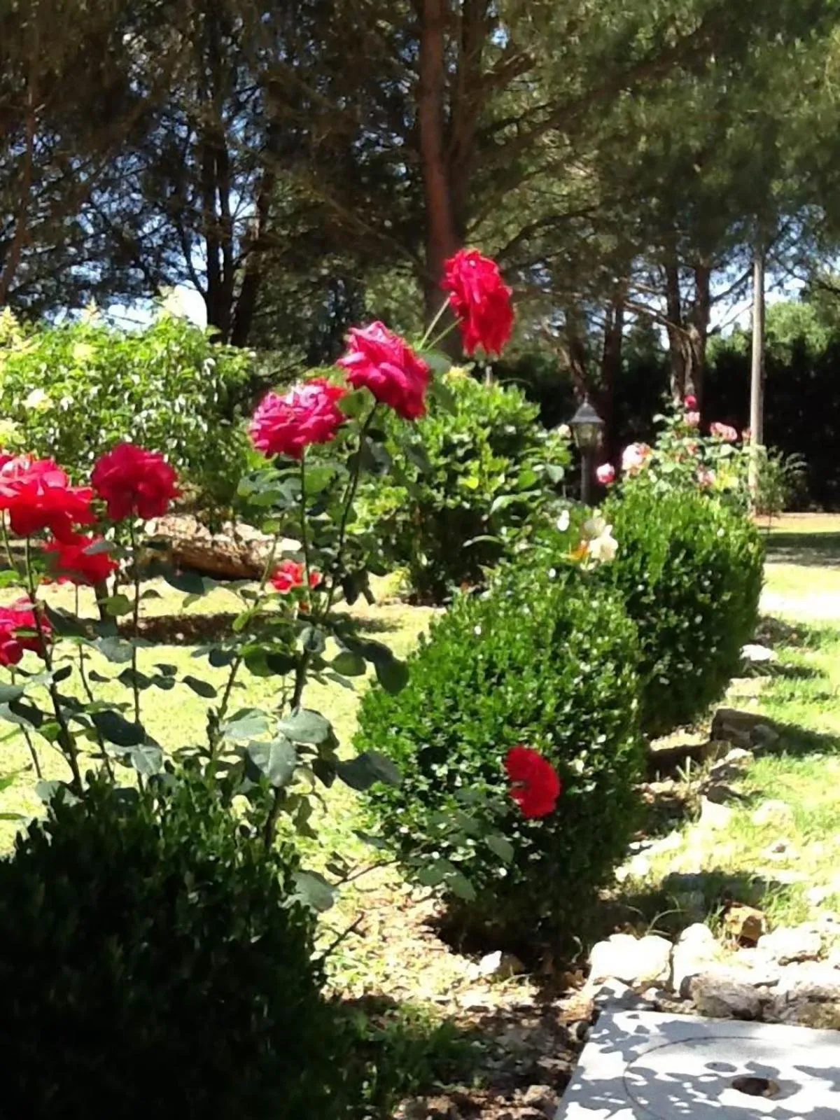 Garden in Campo alle Monache
