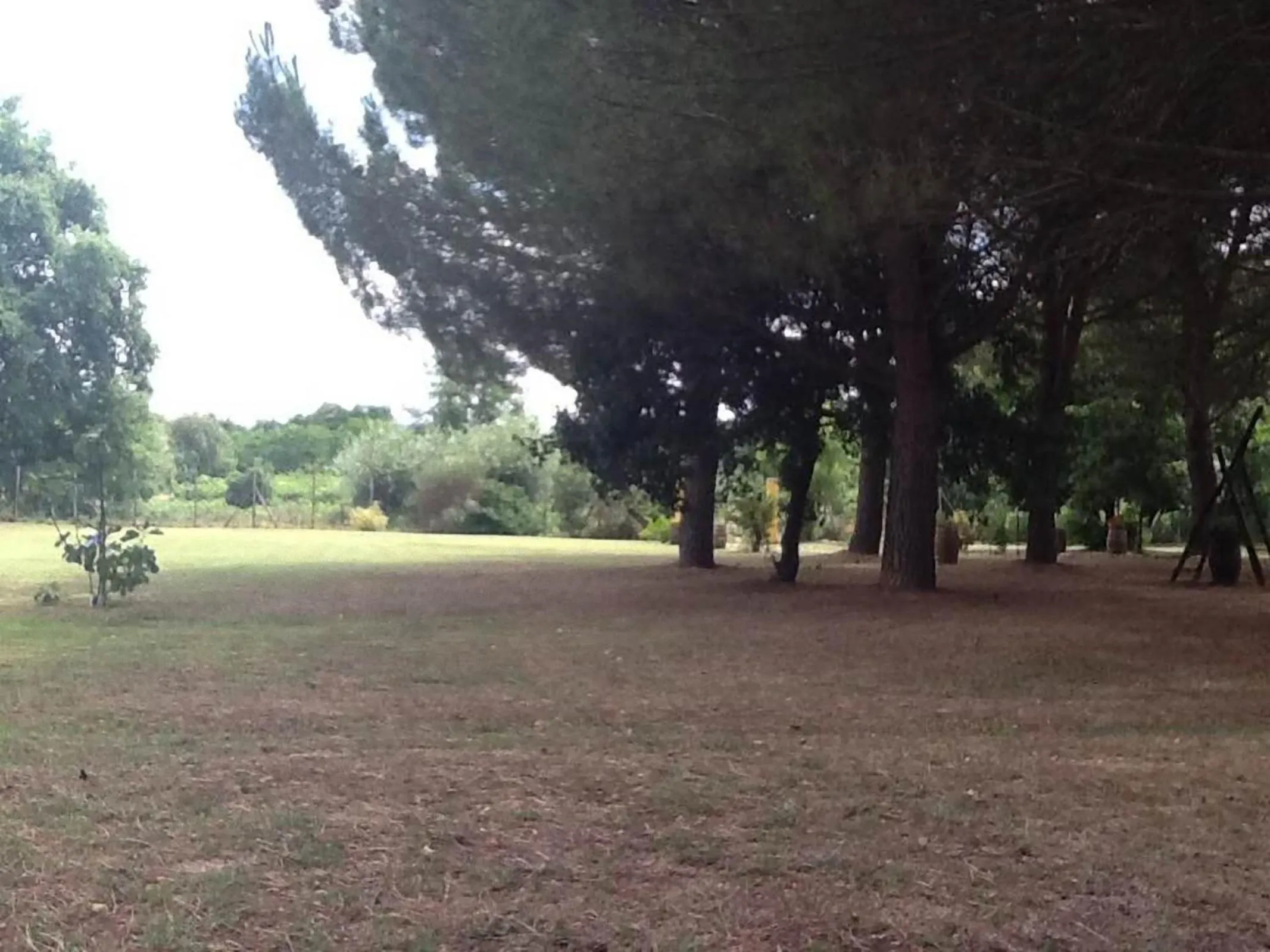 Garden in Campo alle Monache