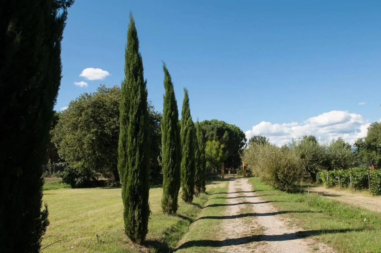Garden in Campo alle Monache